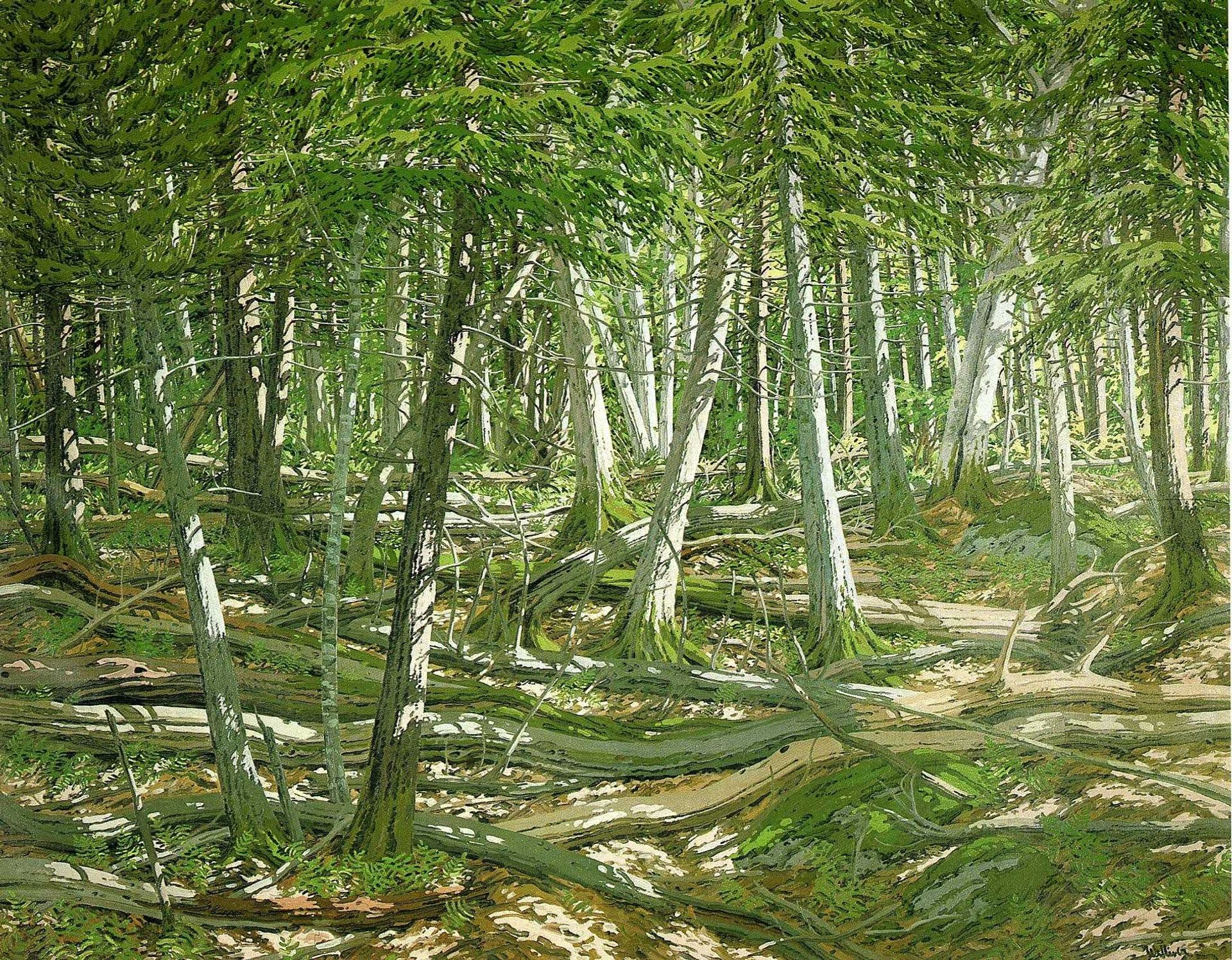 Old Windfall by Neil Welliver