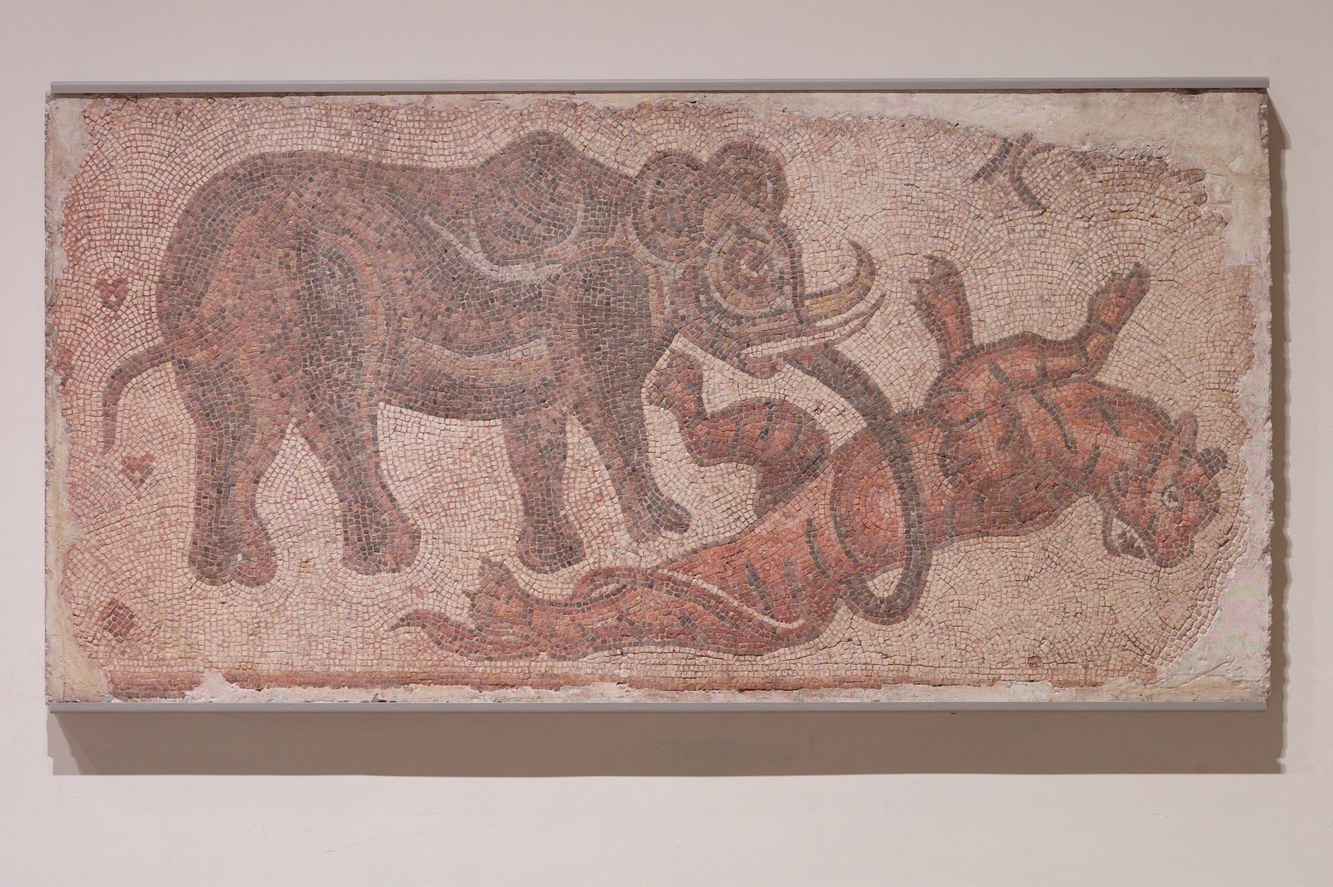 Elephant Attacking a Feline by Anonymous