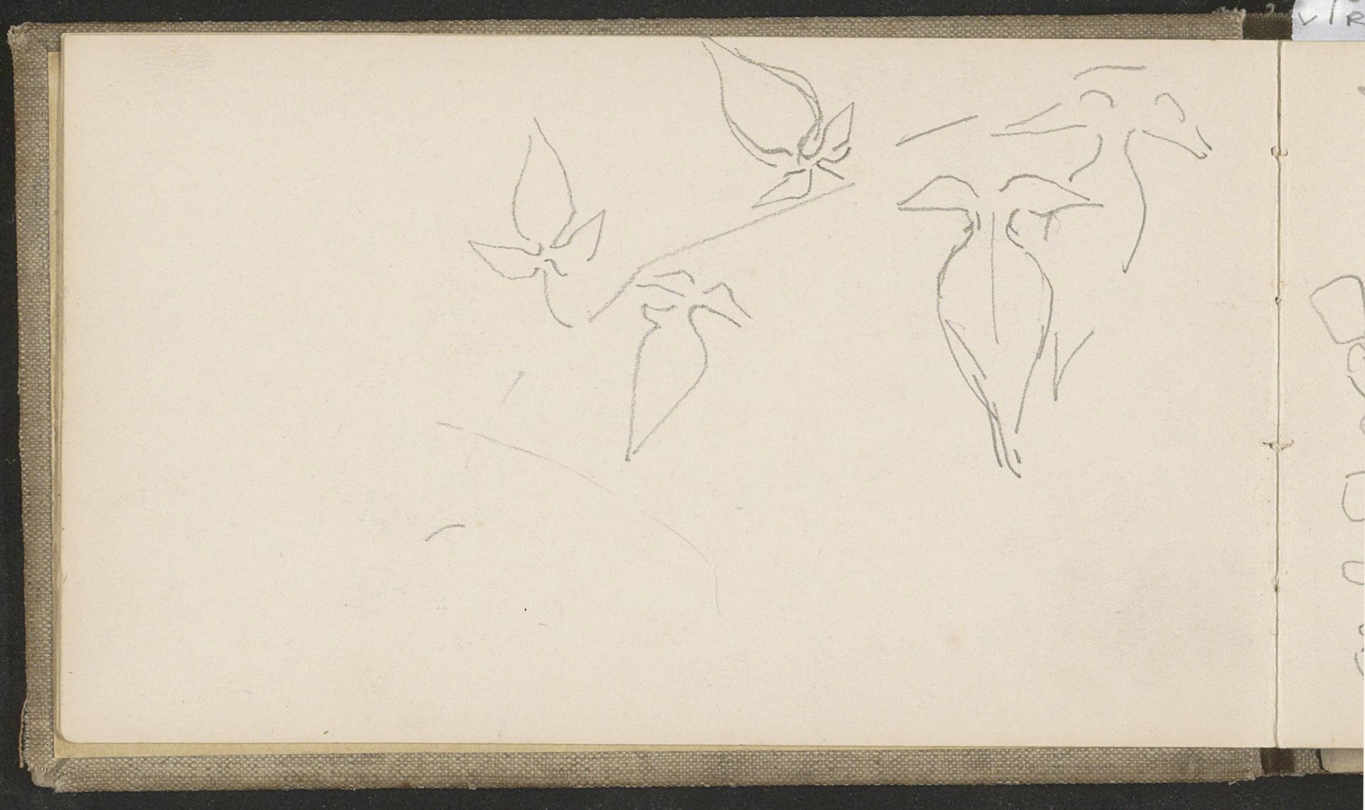 Bladeren met een gladde bladrand by Antoon Derkinderen
