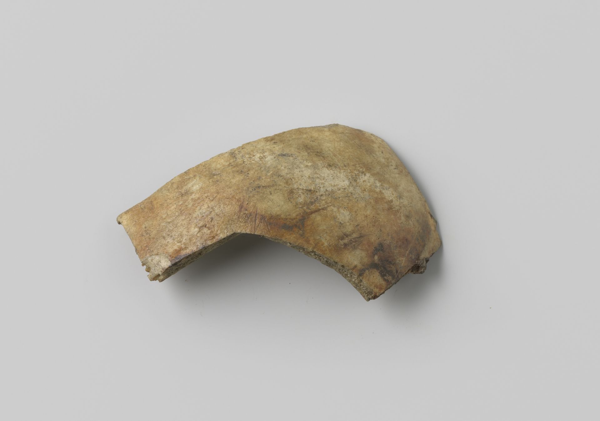 Fragment menselijke schedel uit het wrak van de Oost-Indiëvaarder Hollandia by niet van toepassing