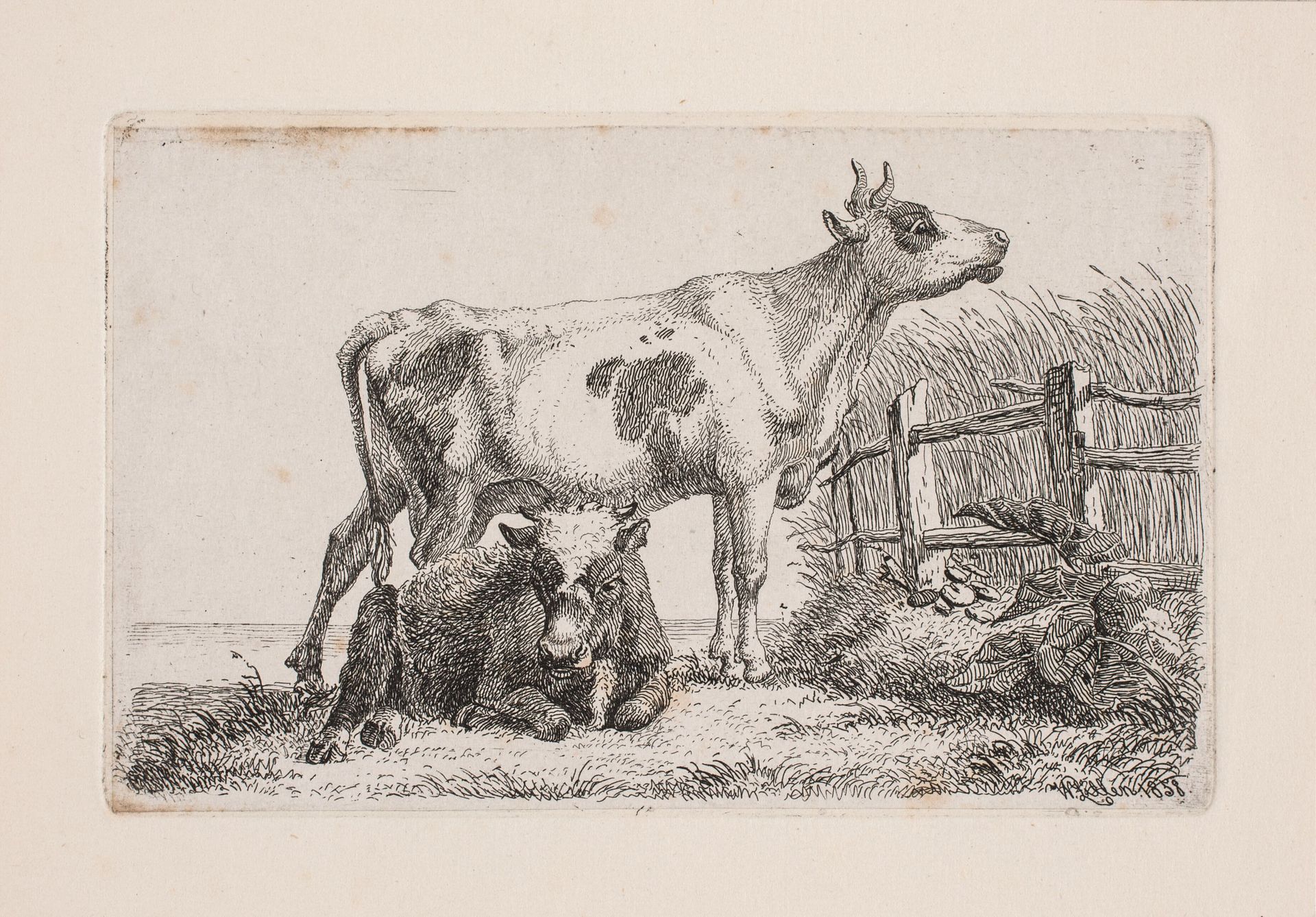 En hvilende og en stående ko by Johannes Wilhelm Zillen