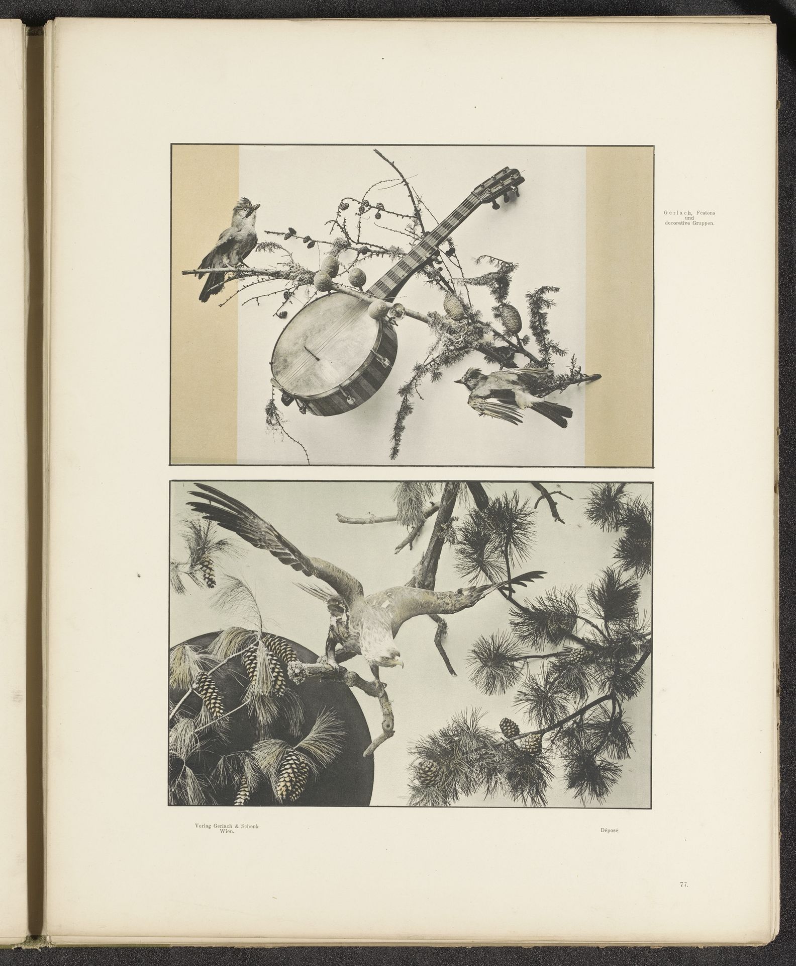 Twee decoratieve groepen met een mandoline, vogels, dennentakken en een adelaar by Anonymous