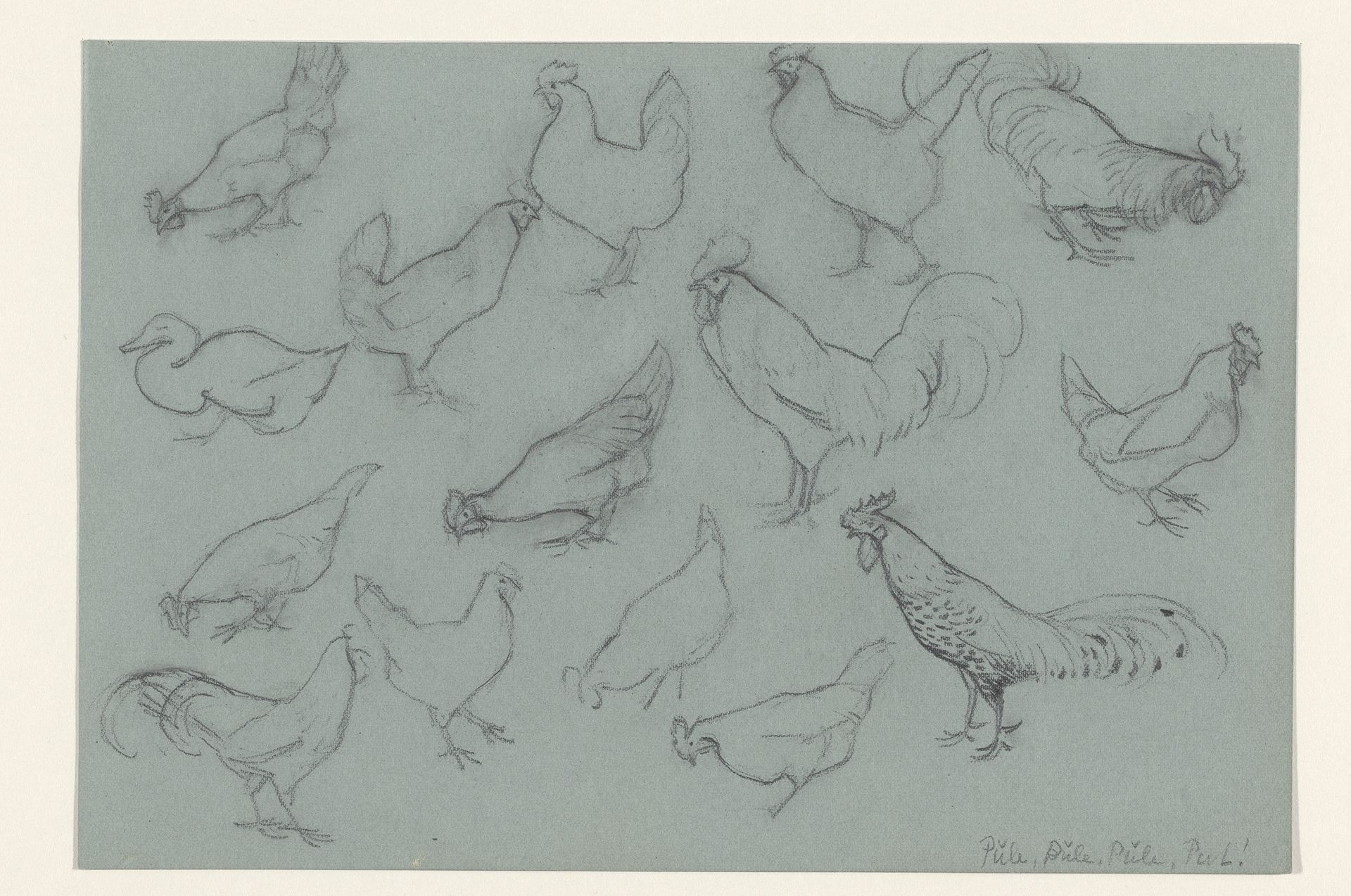 Studieblad met hoenders by Julie de Graag