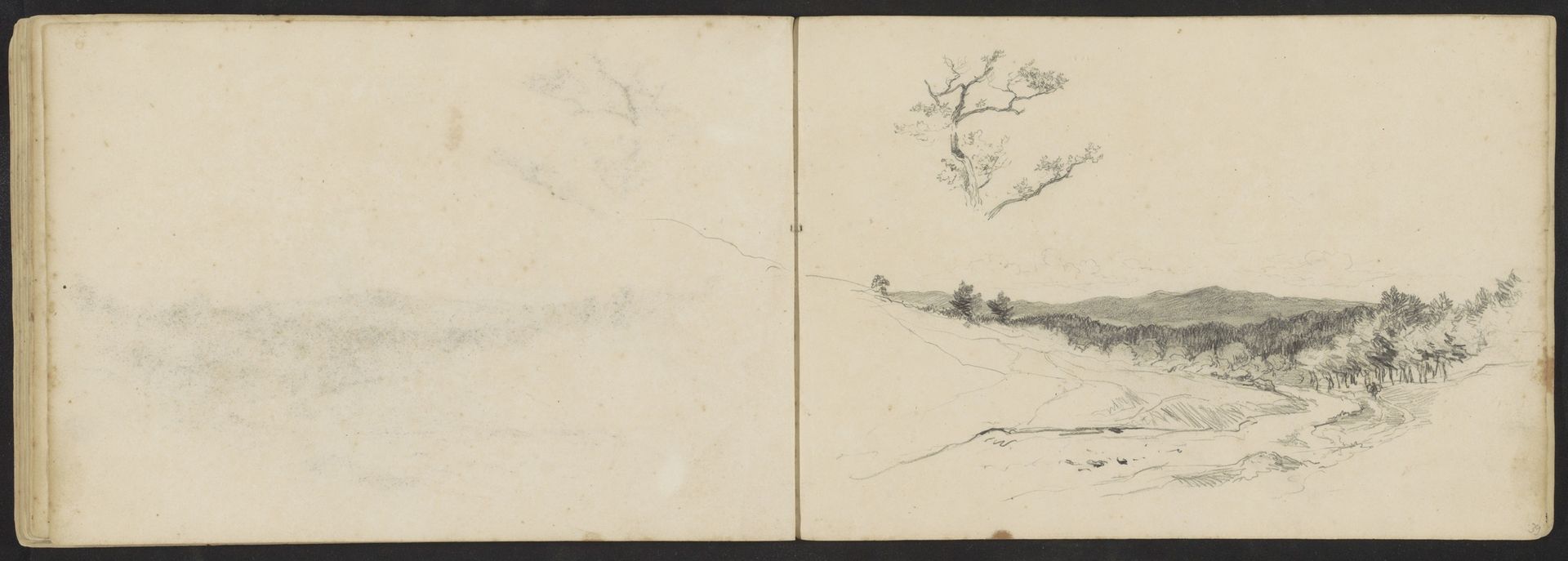 Boomtop en een figuur op een pad in een heidelandschap by Johannes Tavenraat