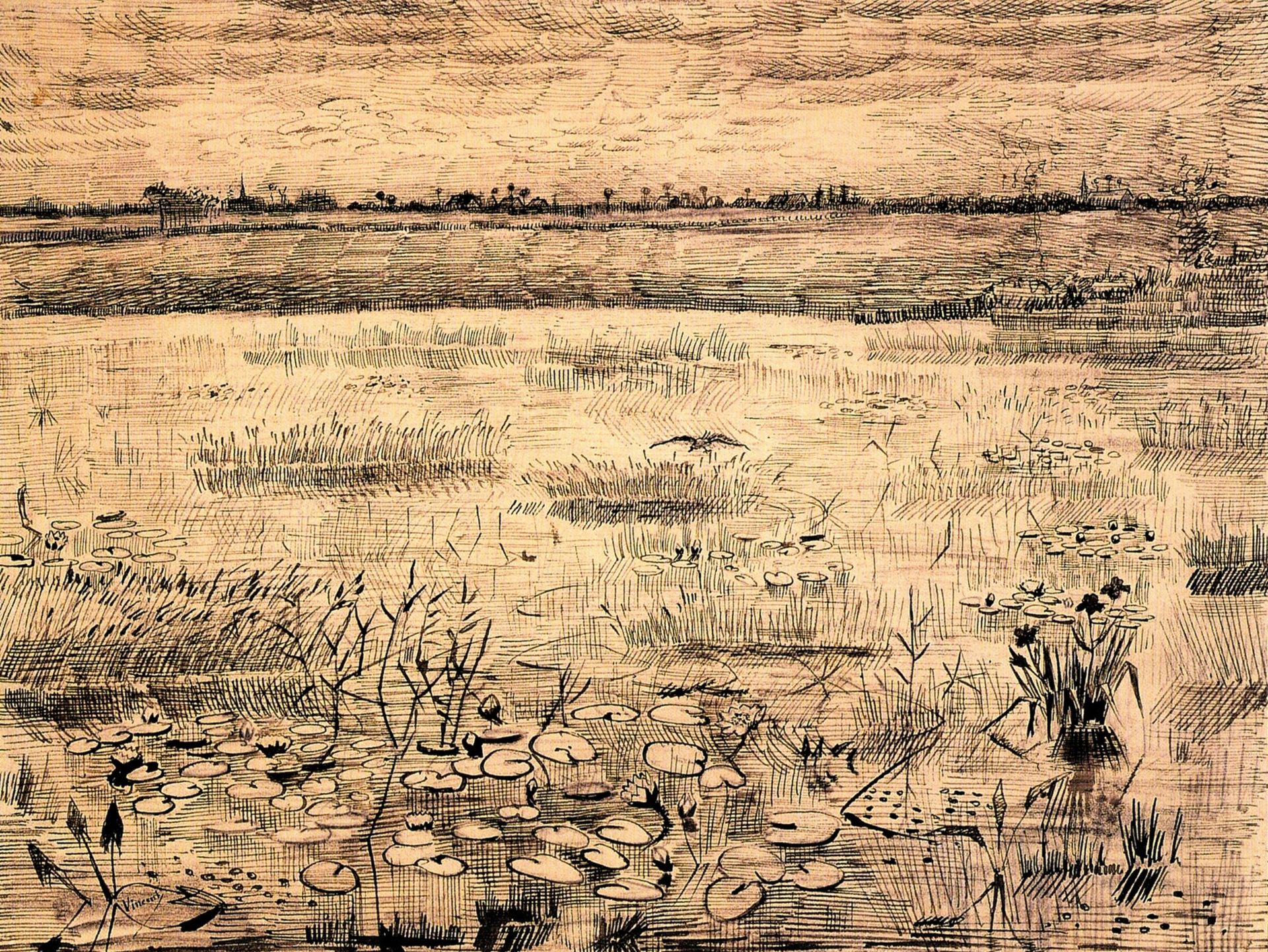 Marsh with Water Lillies by Vincent van Gogh