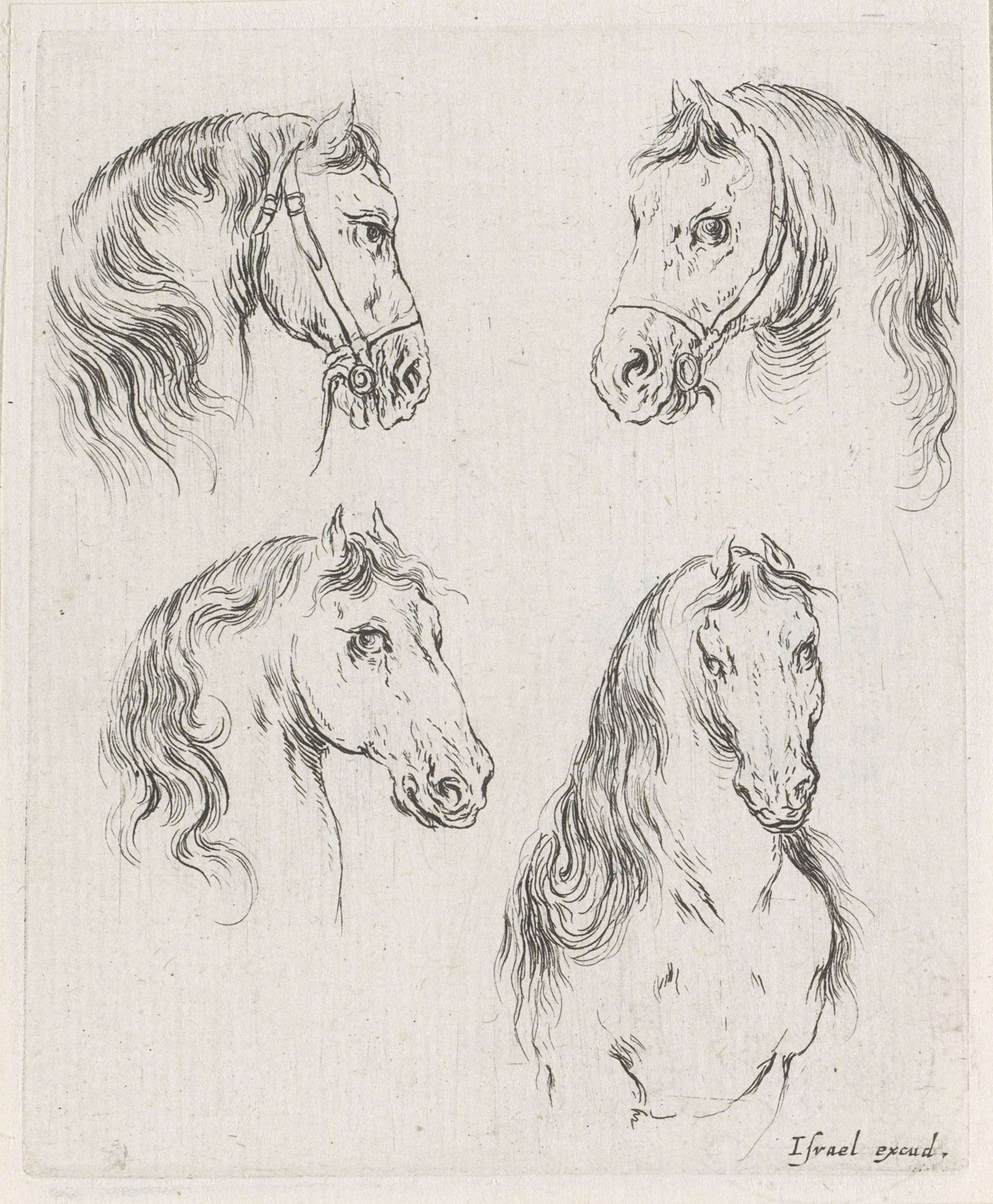 Vier paardenhoofden by Stefano della Bella