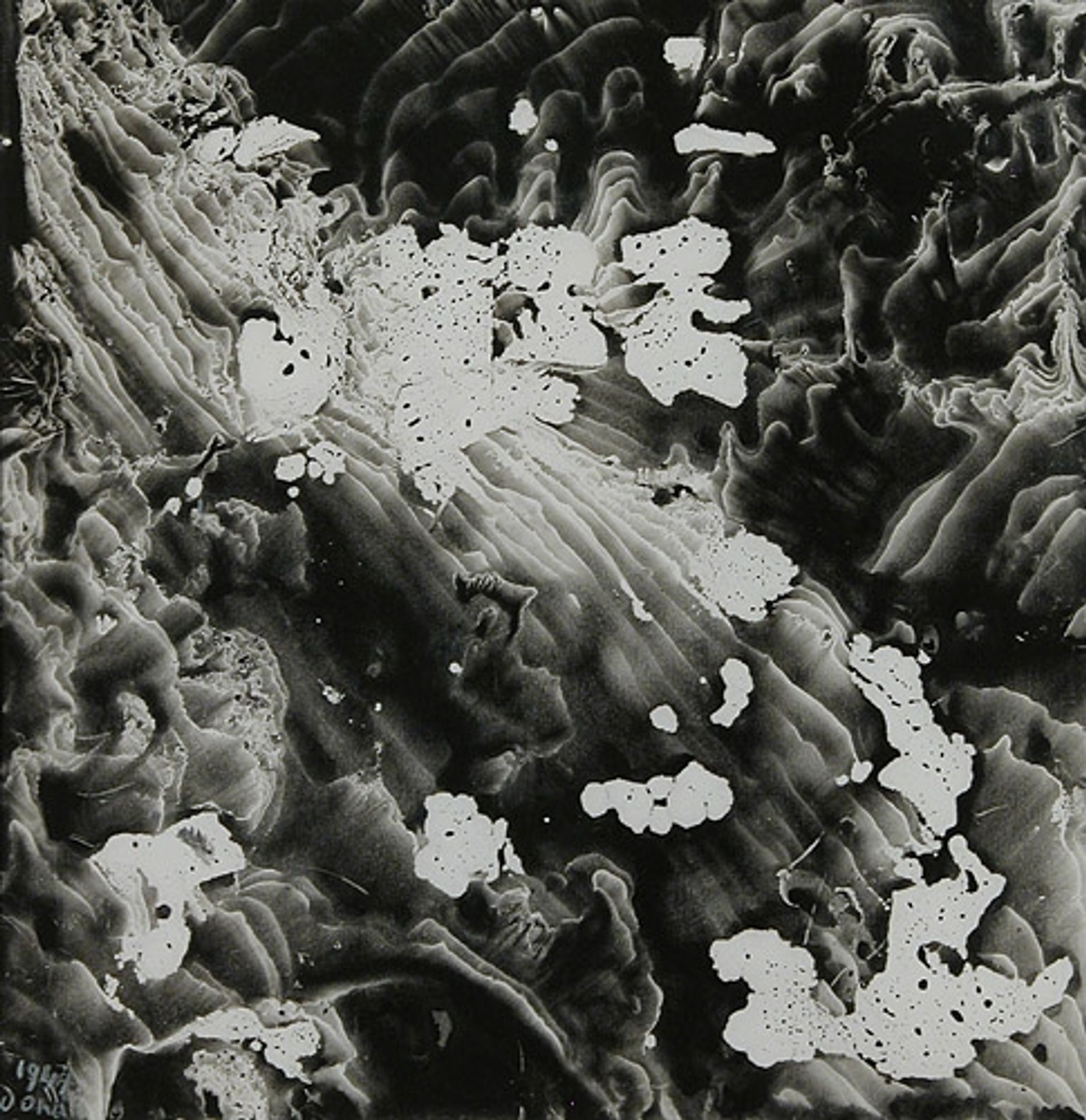 Decalcomania by Enrico Donati