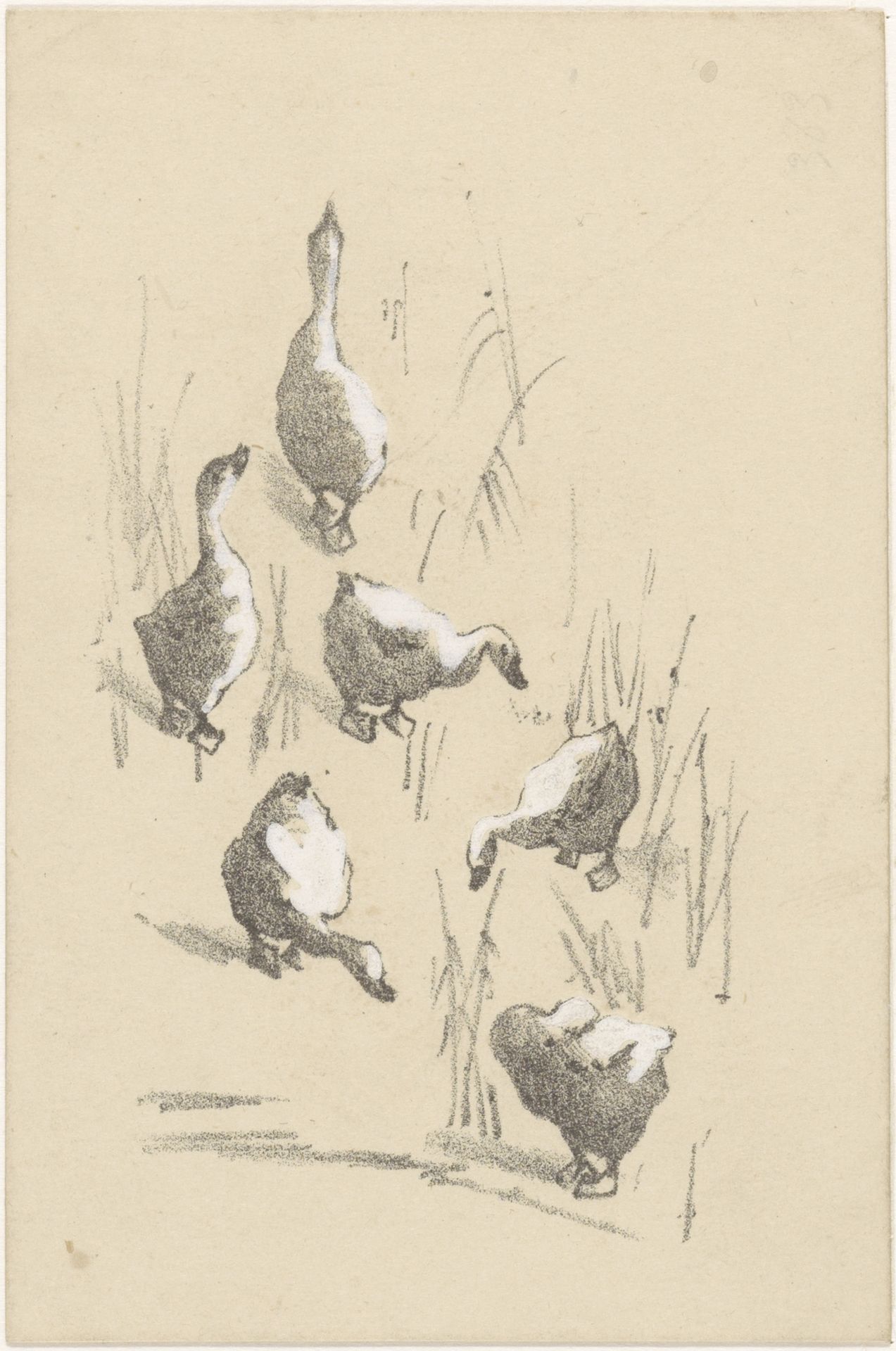 Wenskaart met zes ganzen by Theo van Hoytema