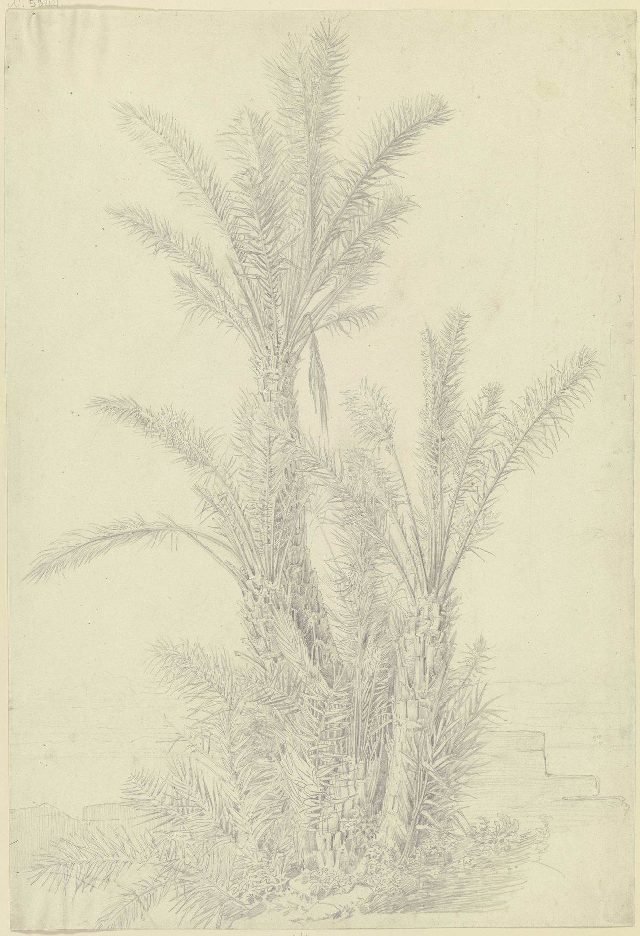Palm group near Vico by Theodor Pelissier