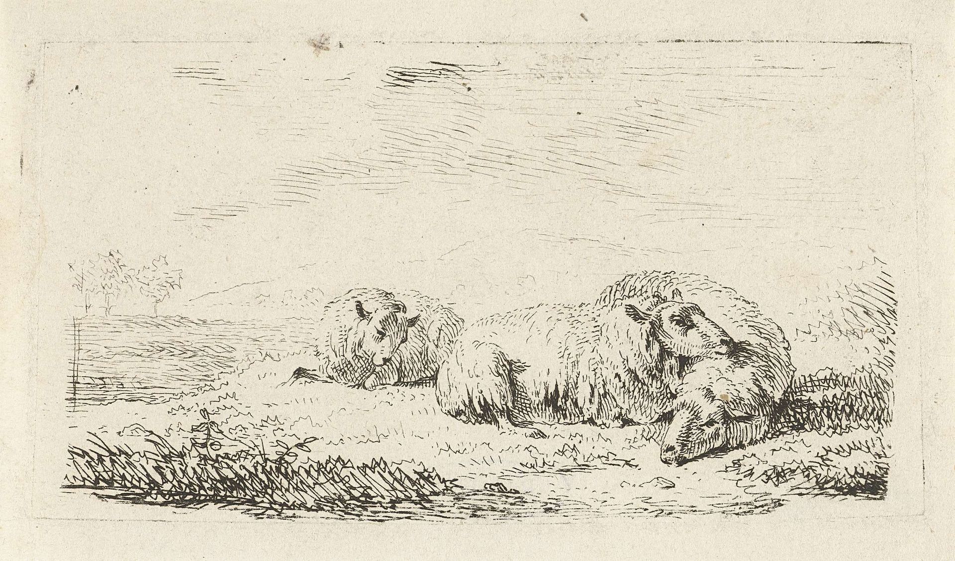 Drie schapen liggend in het gras by Frédéric Théodore Faber