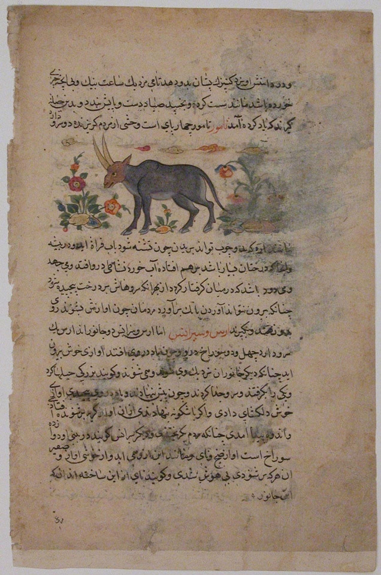"Steinbok", Folio from a Dispersed Nuzhatnama-i ‘A’a’i of Shahmardan ibn Abi’l Khayr by Shamardan ibn Abi 'l Khayr