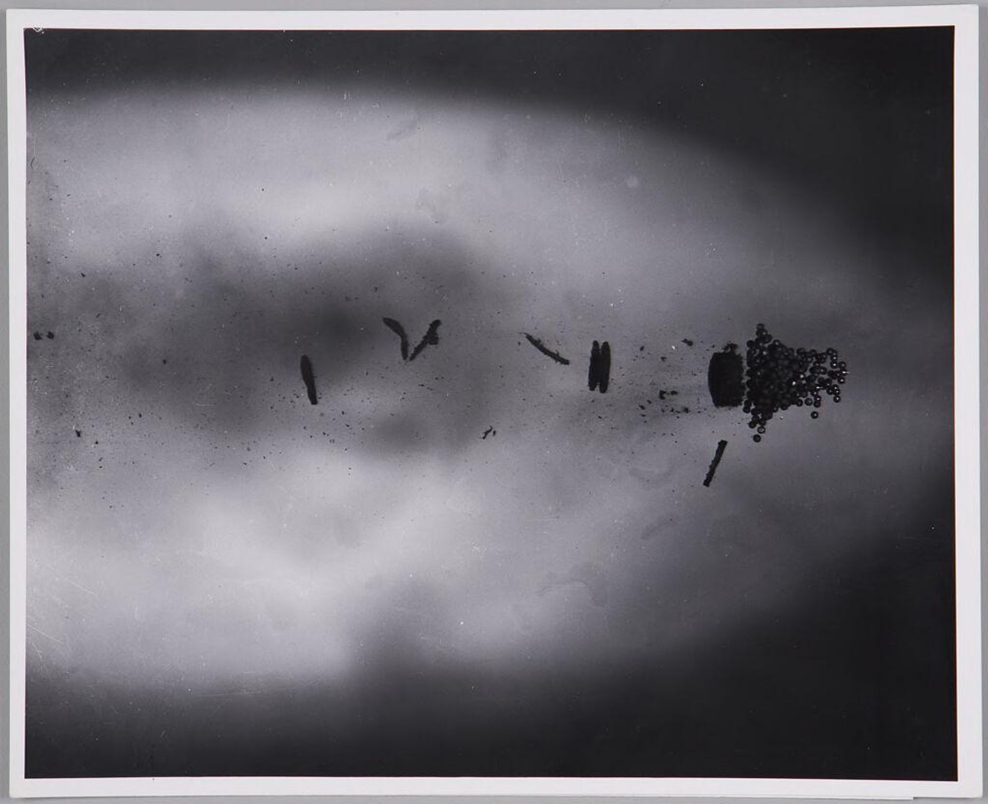 Pellets from Shotgun by Harold Edgerton