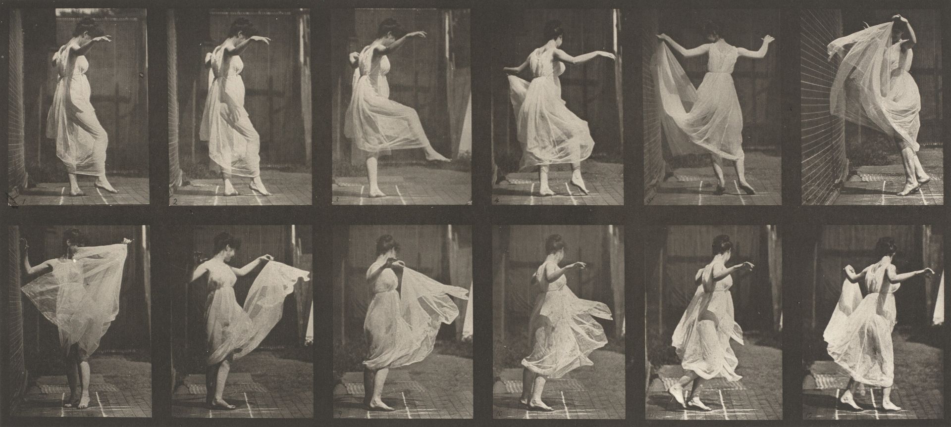 Plate Number 188. Dancing (fancy) by Eadweard Muybridge