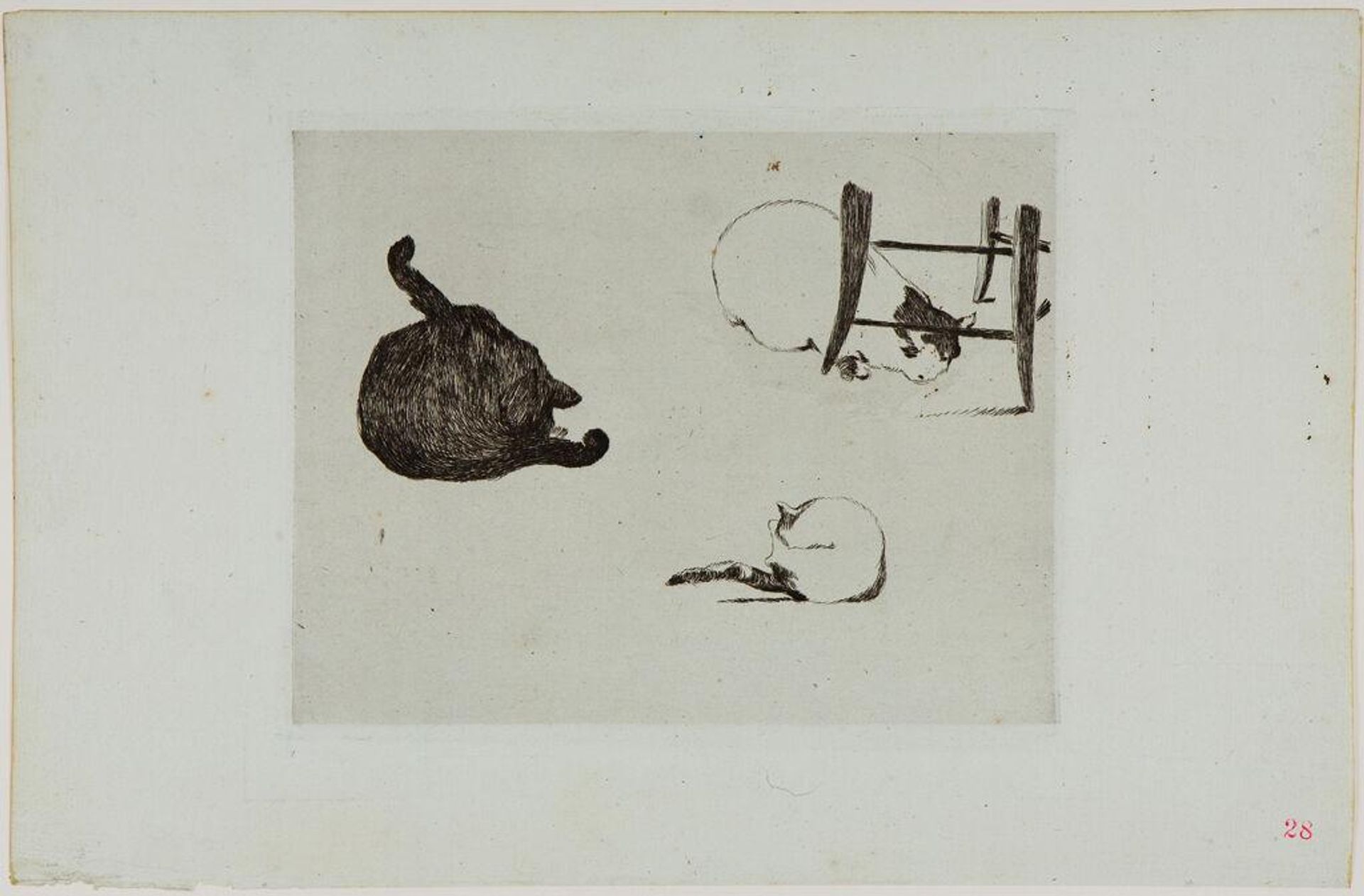 The Cats by Edouard Manet