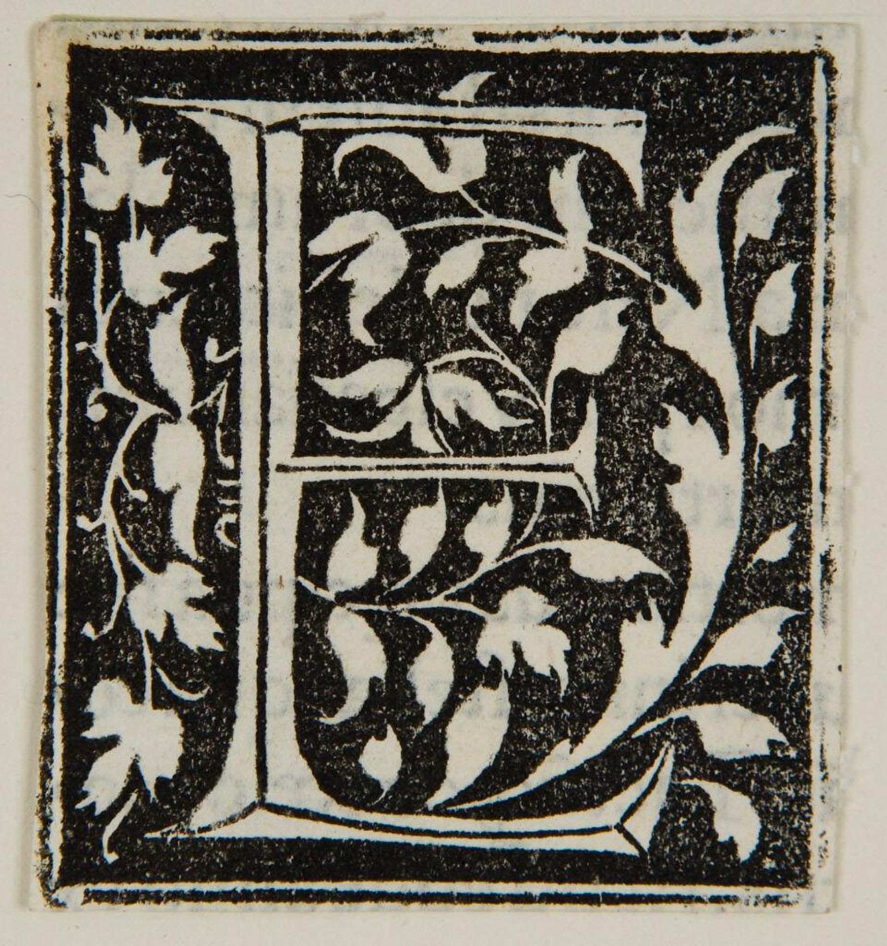 Letter E by Anonymous