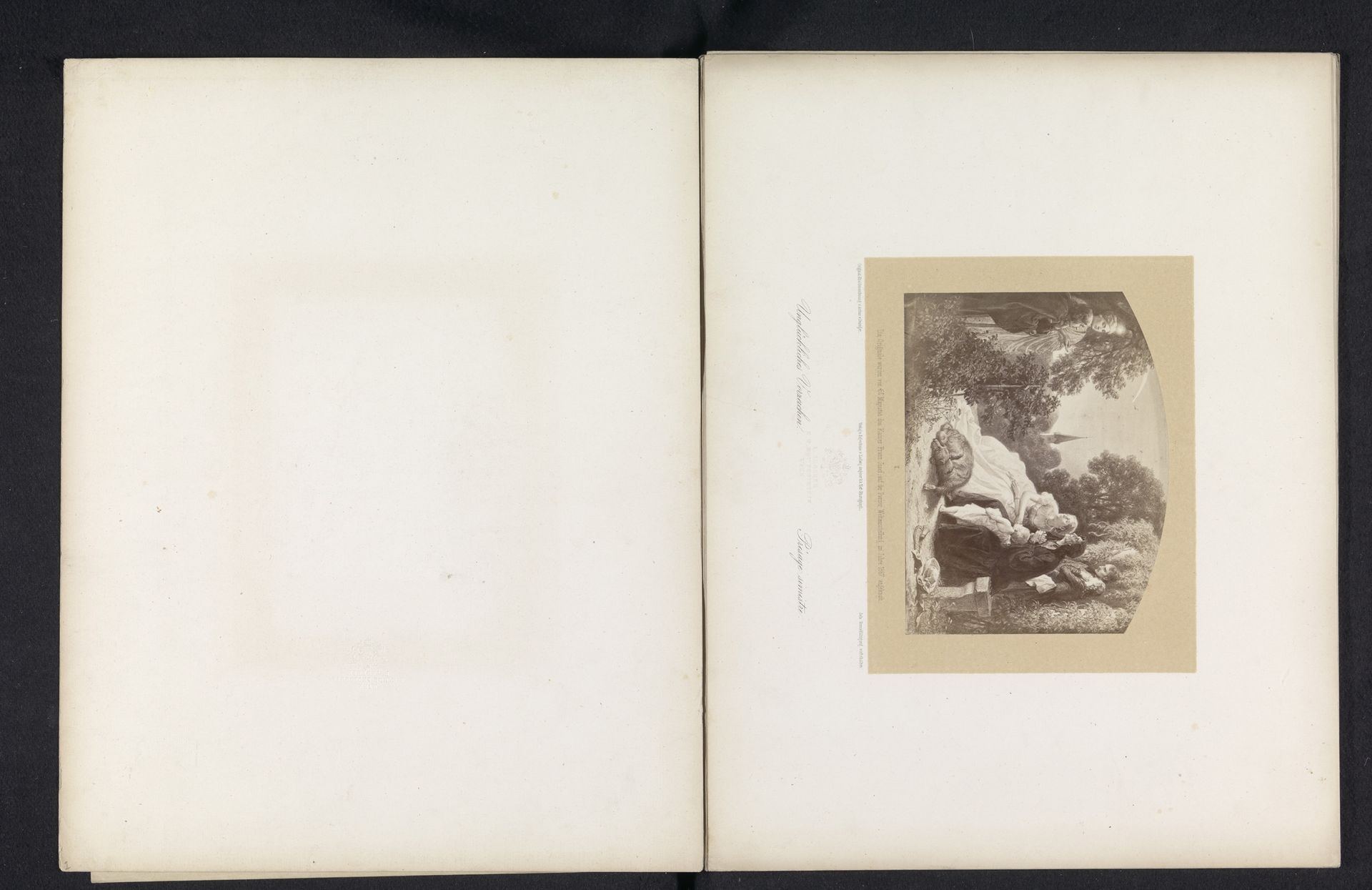 Fotoreproductie van een tekening van een gezelschap in een tuin die kijken naar een streep licht aan de hemel by Ludwig Angerer