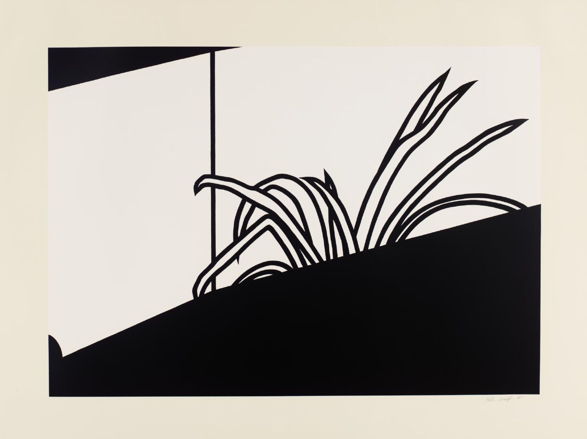 Spider Plant by Patrick Caulfield