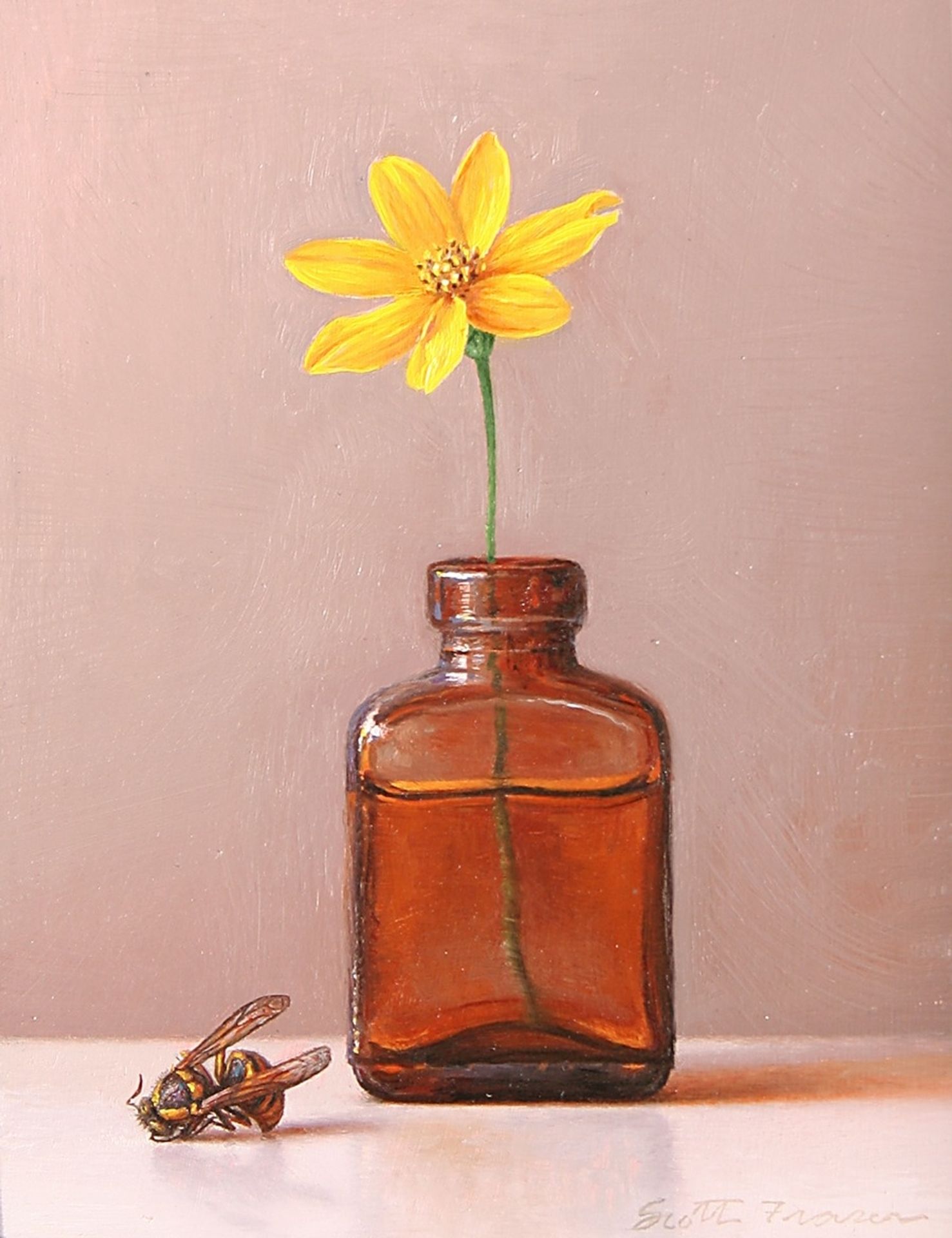 Flower Bottle Wasp by Scott Fraser