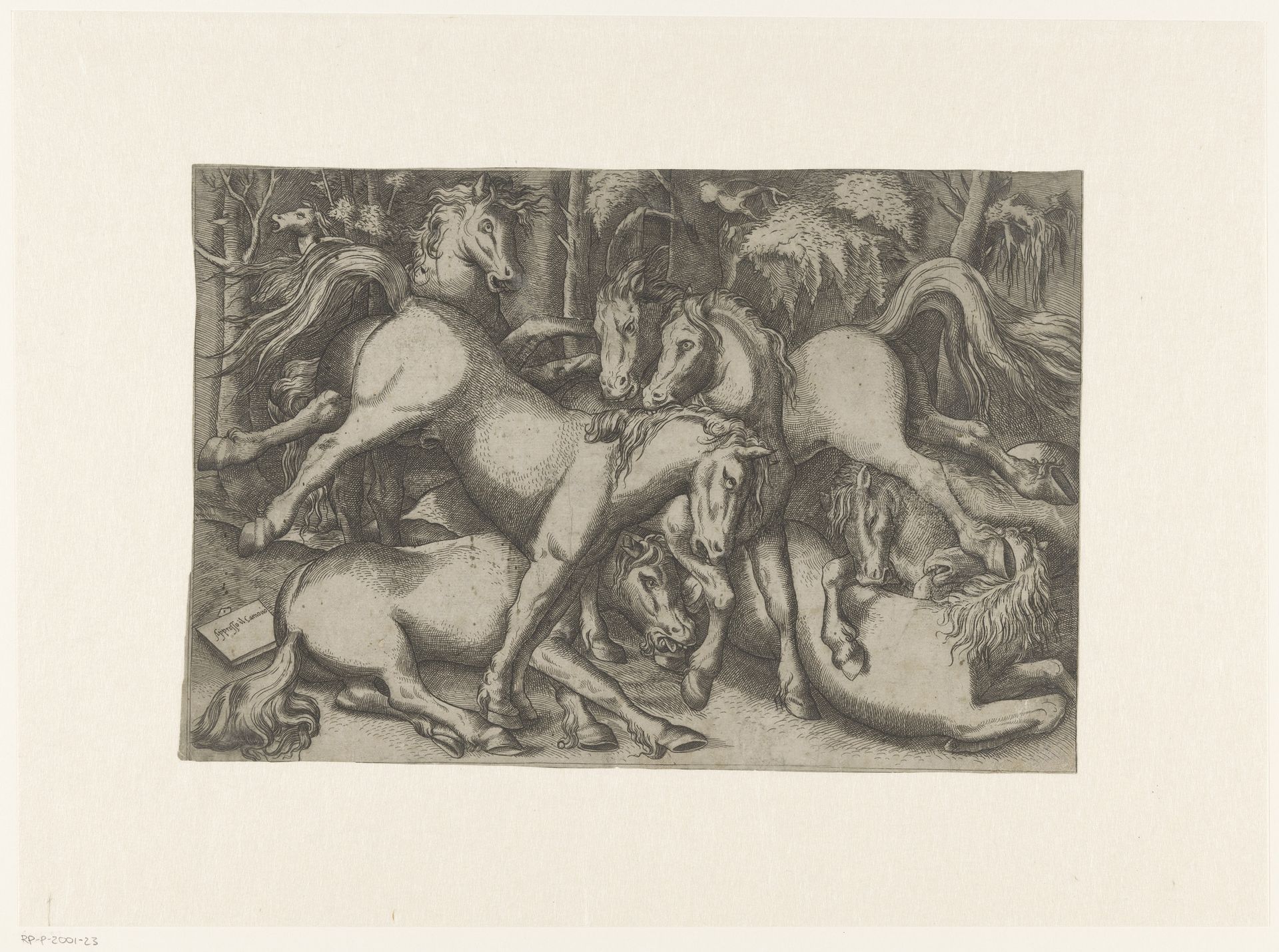 Vechtende paarden by Anonymous