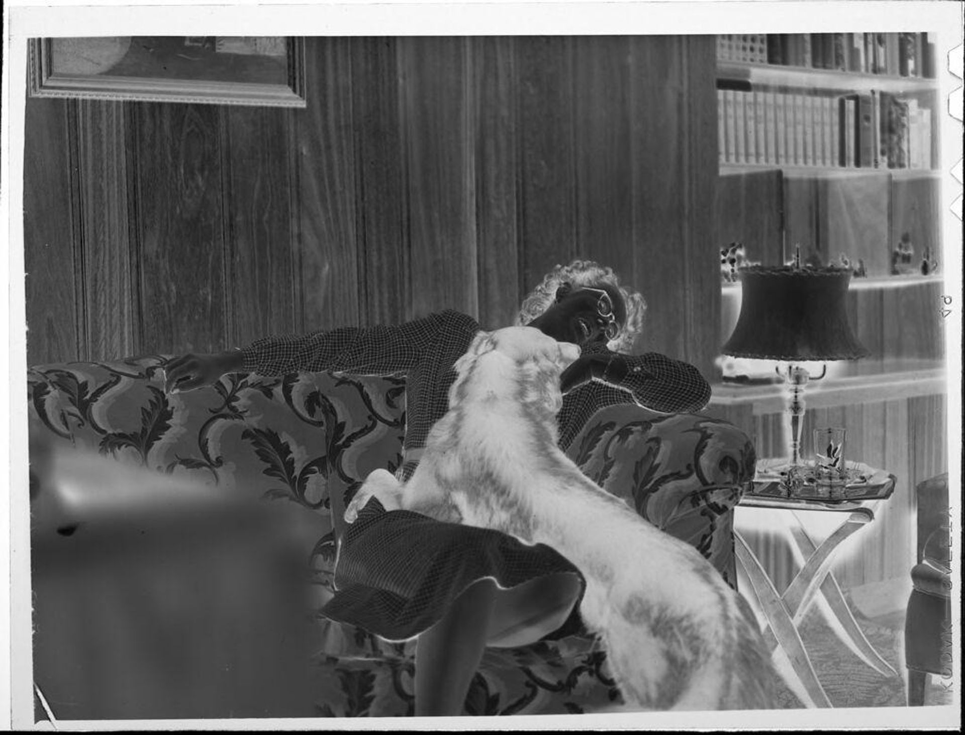 Untitled (woman on couch with dog) by Lucian and Mary Brown