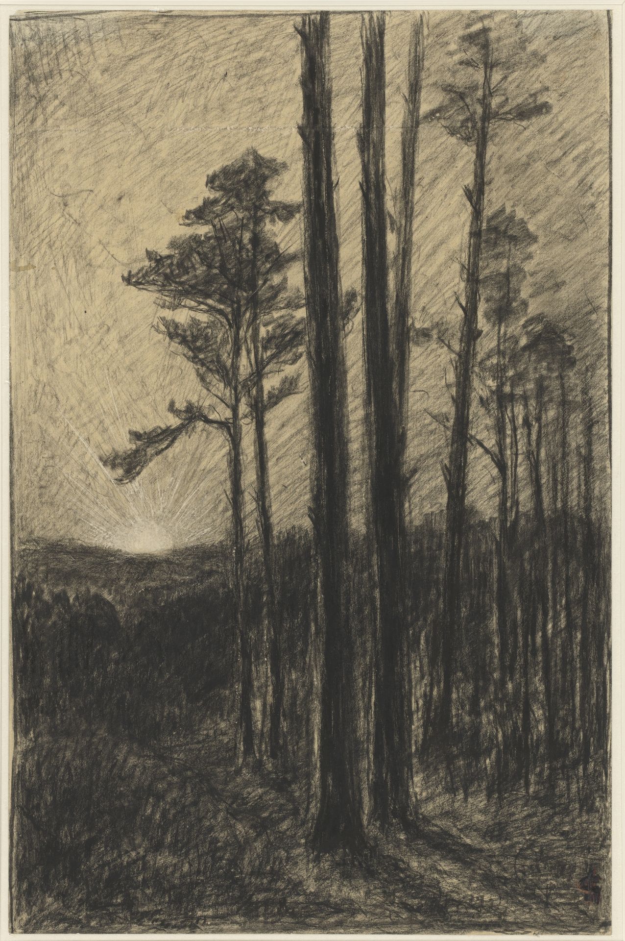 Naaldwoud met ondergaande zon by Carel Nicolaas Storm van 's-Gravesande