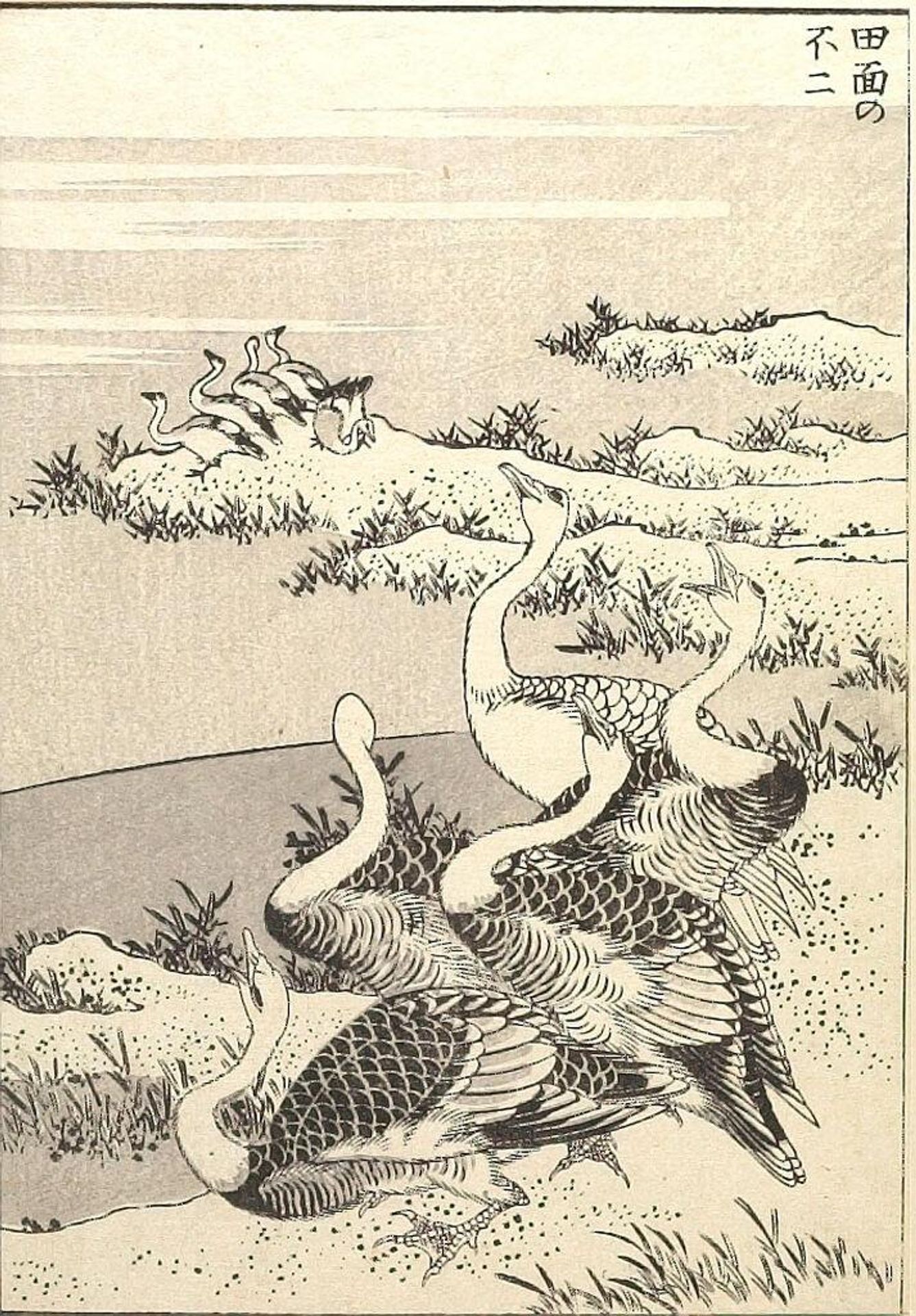 Fuji on the Face of a Paddy (Tanomo no Fuji): Detached page from One Hundred Views of Mount Fuji (Fugaku hyakkei) Vol. 1 by Katsushika Hokusai