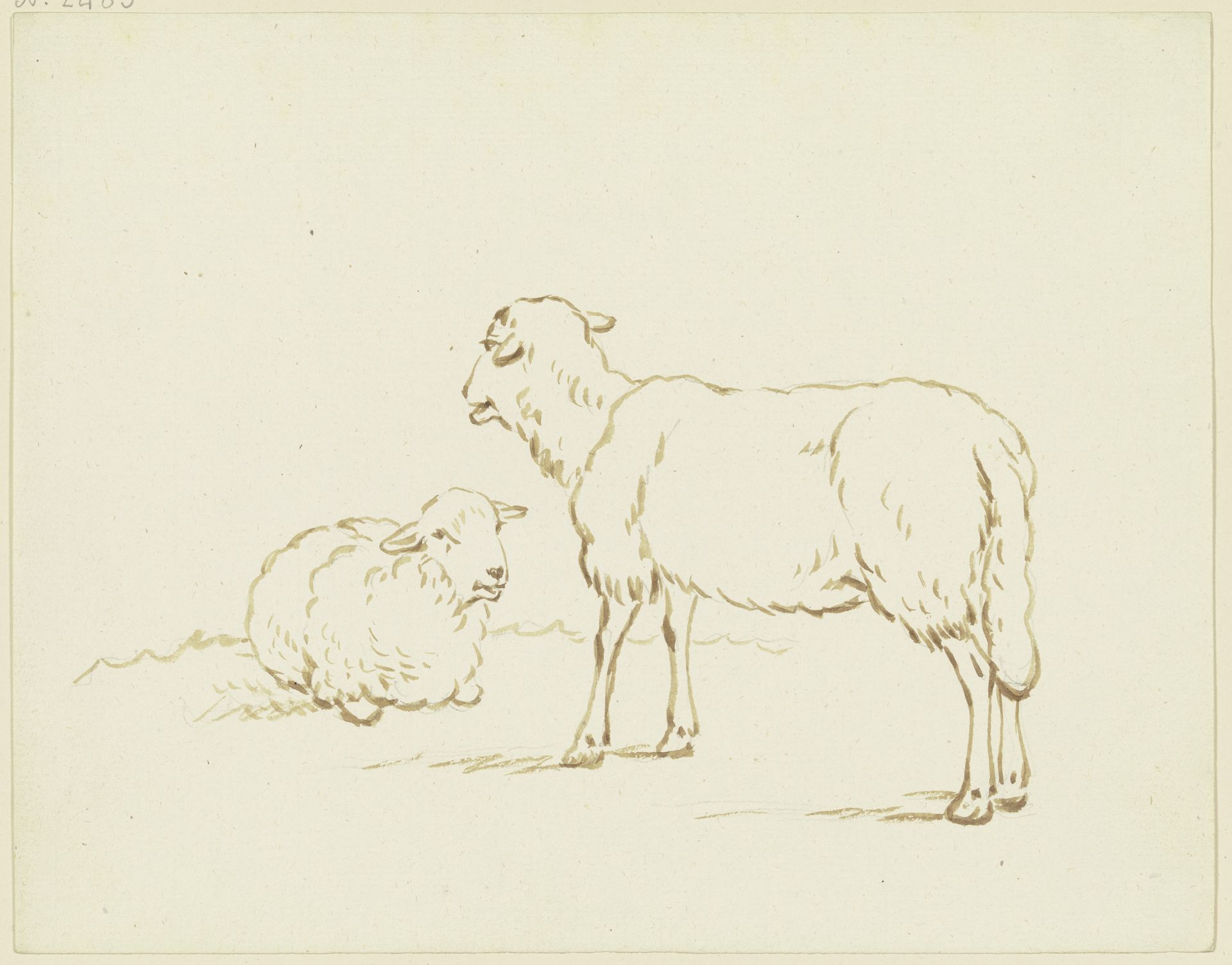 Two sheep by Friedrich Wilhelm Hirt