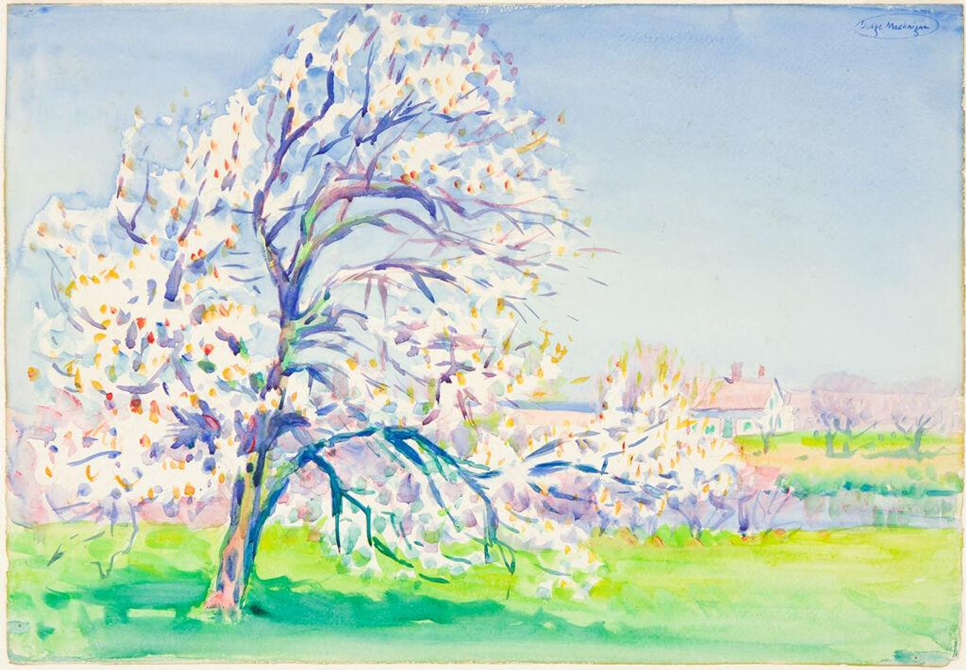Pear Tree, Spring Hill, Barnstable, Massachusetts by Dodge Macknight