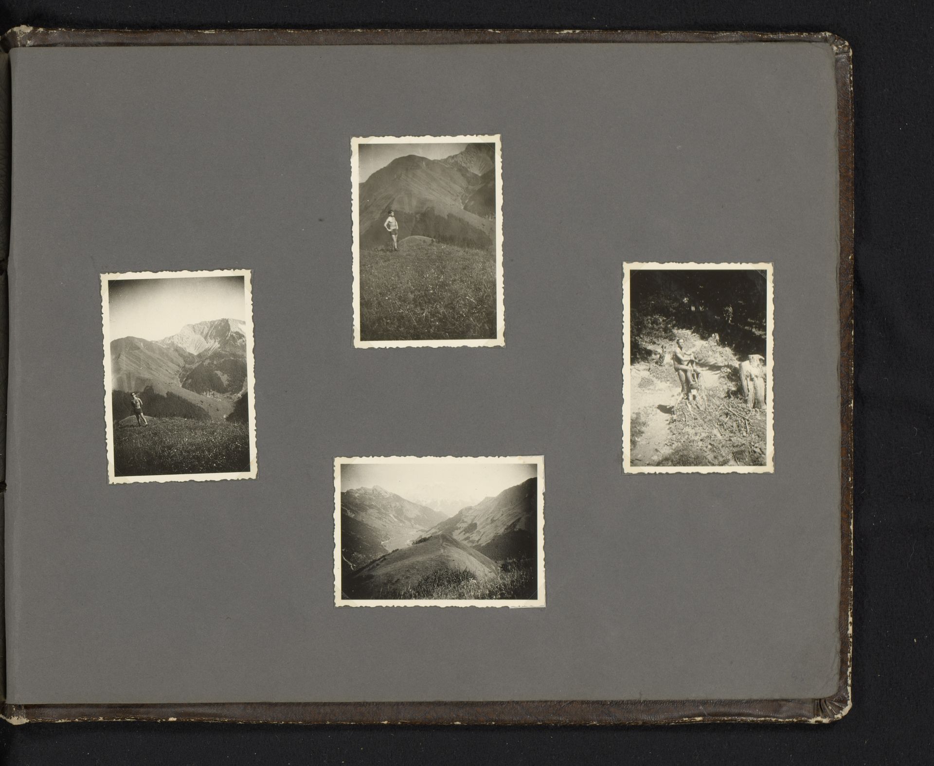 Berglandschappen by Anonymous