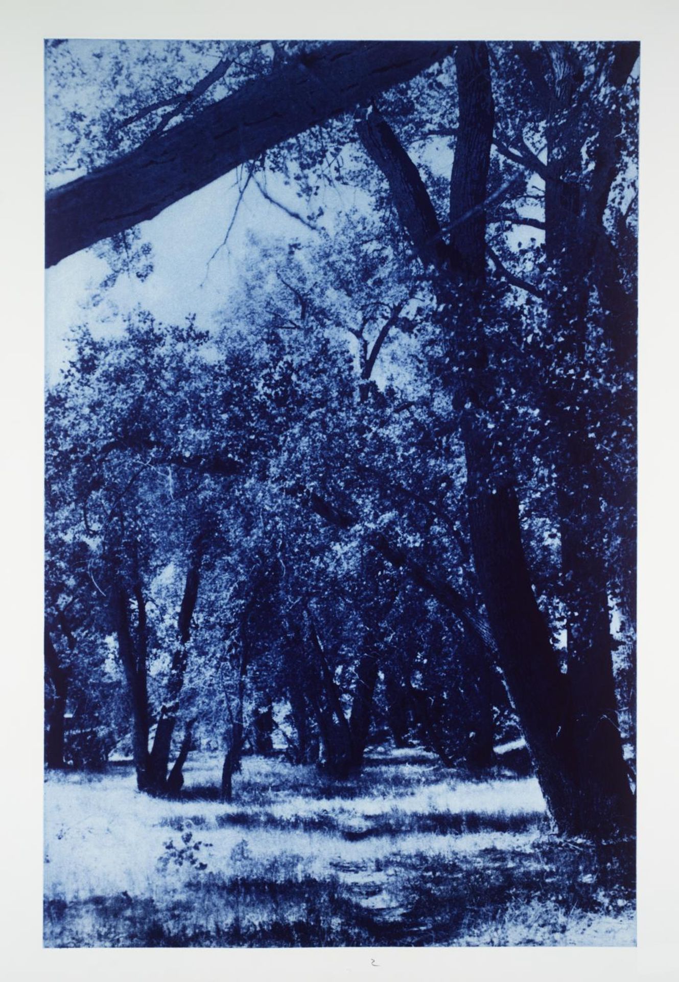 Galisteo, New Mexico by Helmut Federle