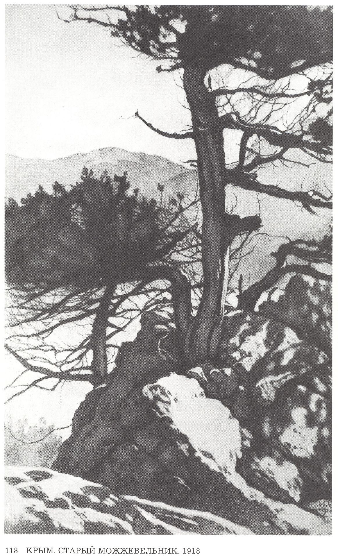 Crimea. Old juniper by Ivan Bilibin