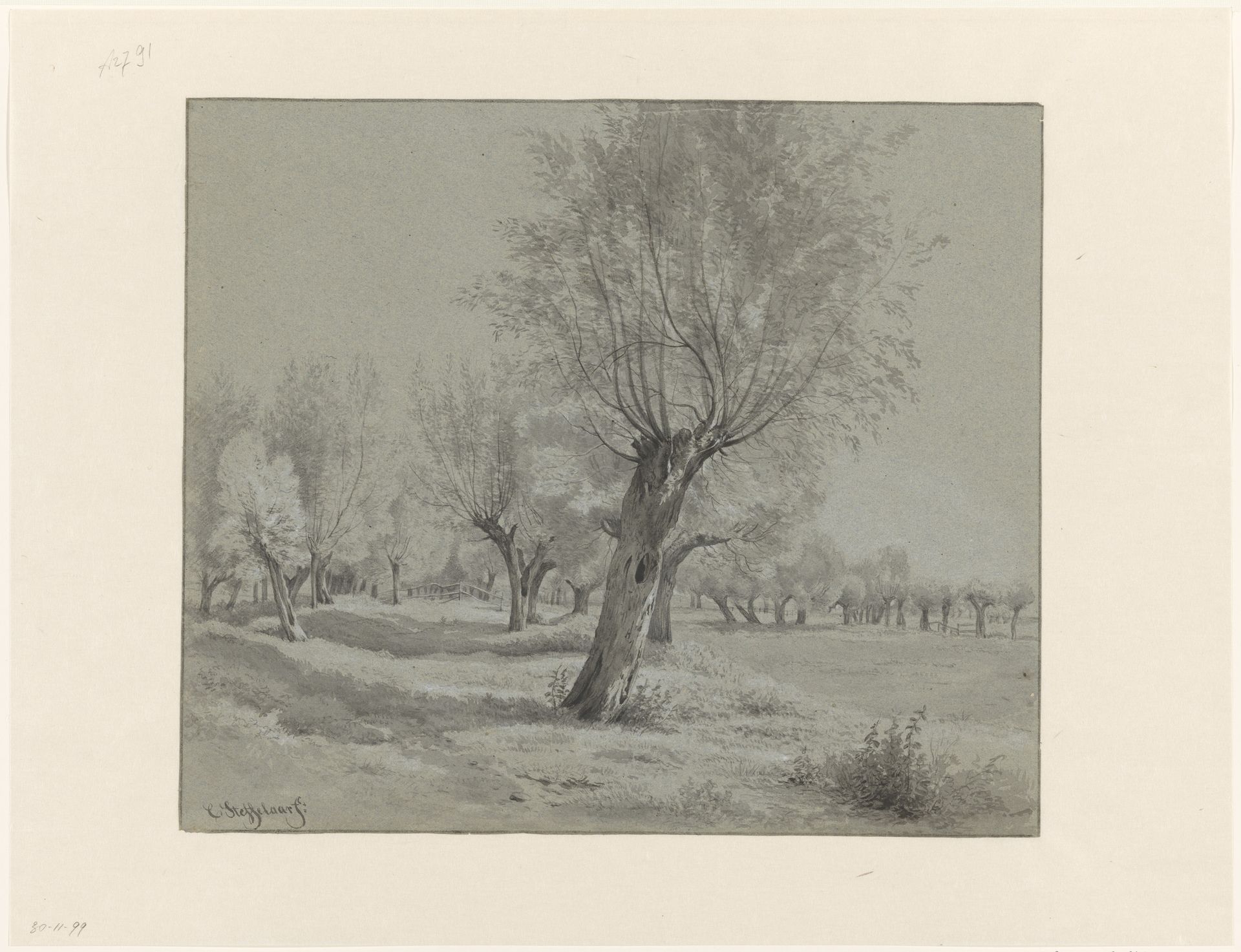 Weiland met knotwilgen by Cornelis Steffelaar