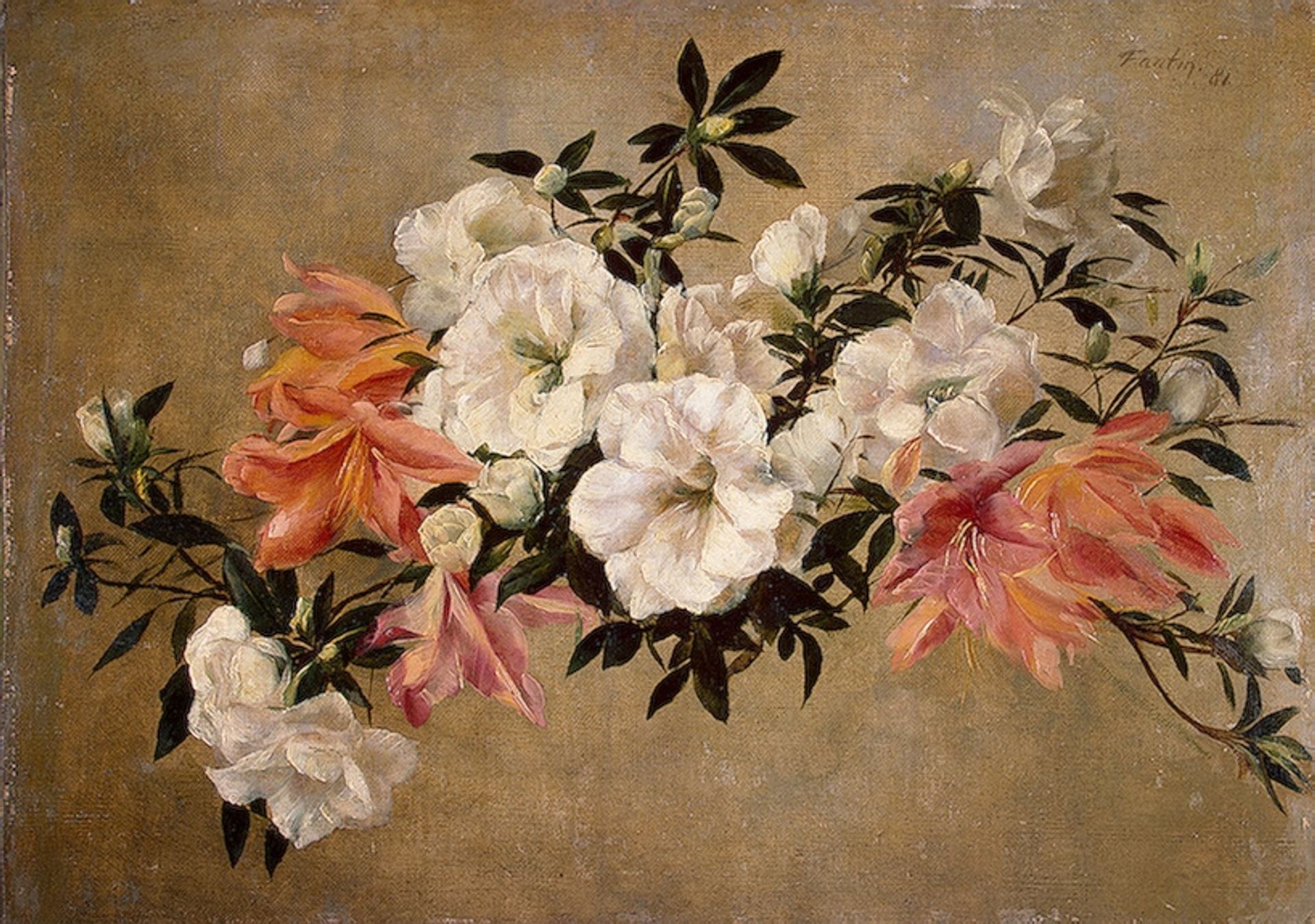 Petunias by Henri Fantin-Latour