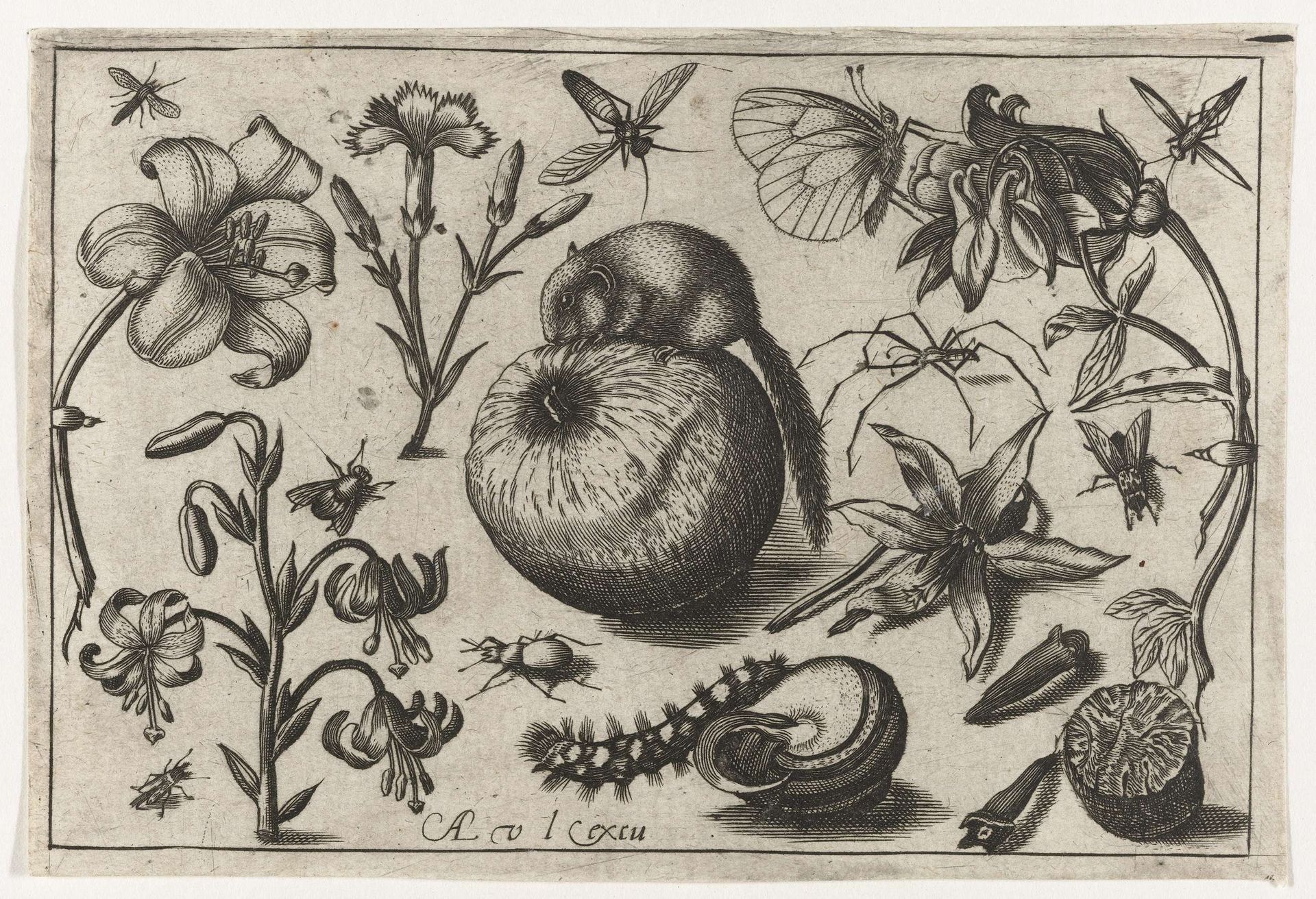 Bloemen en een muis op een appel by Nicolaes de Bruyn