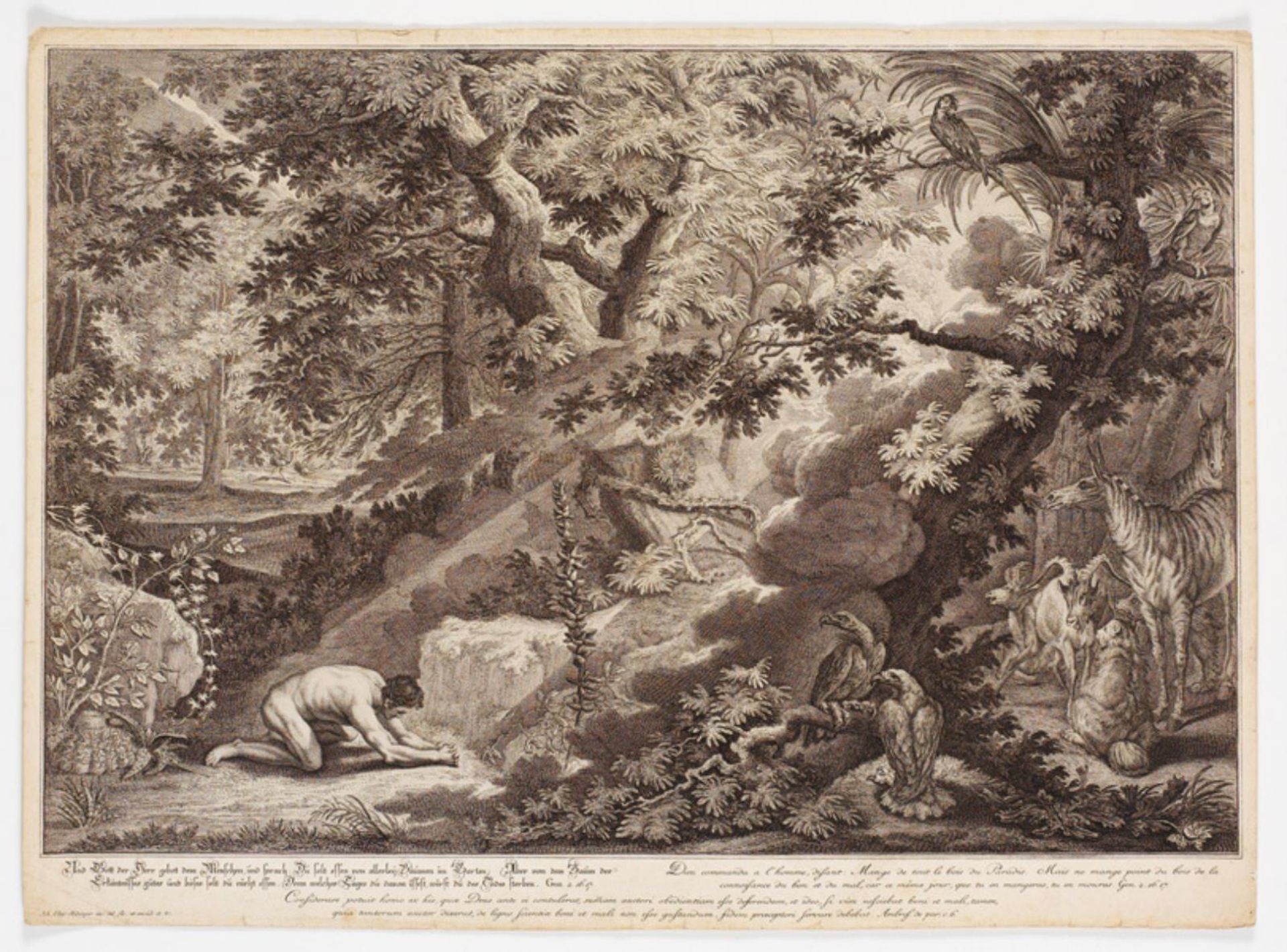 Gud forbyder Adam at spise af kundskabens træ by Johann Elias Ridinger