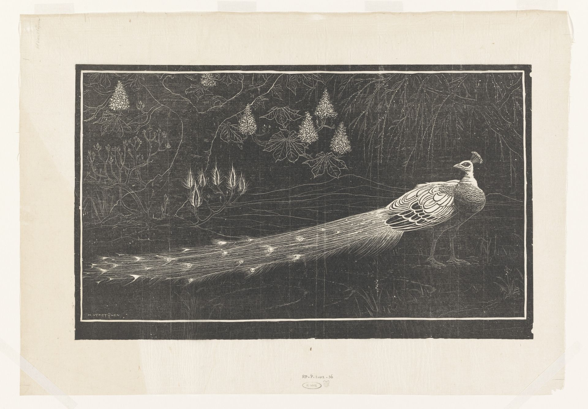 Pauw in landschap by Henri Verstijnen