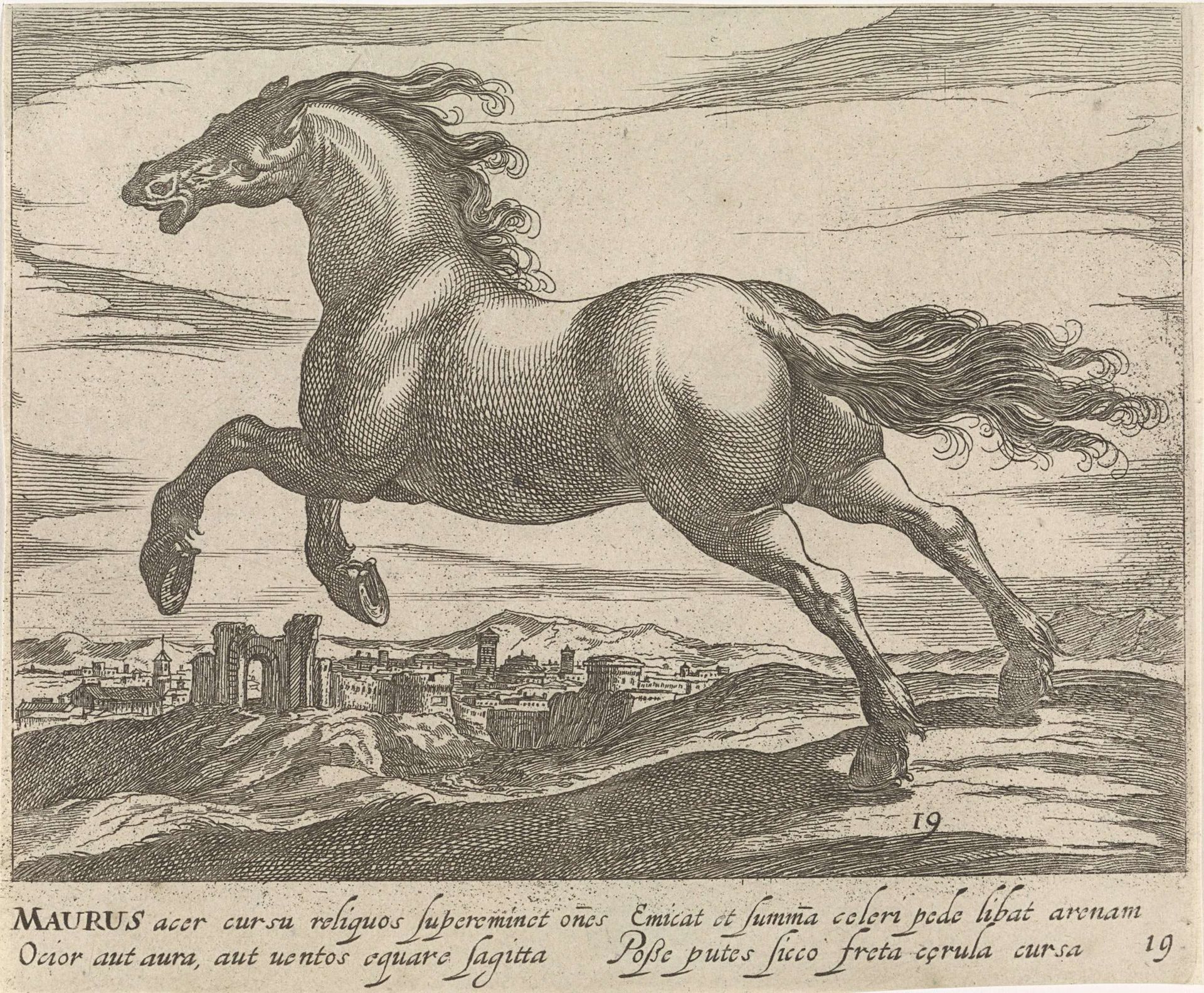 Landschap met paard uit Mauretanië by Egbert Van Panderen