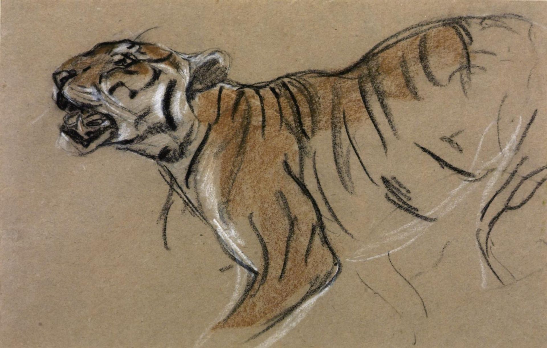Head and Forepart of a Tiger - John Macallan Swan | Artera | AskArtera