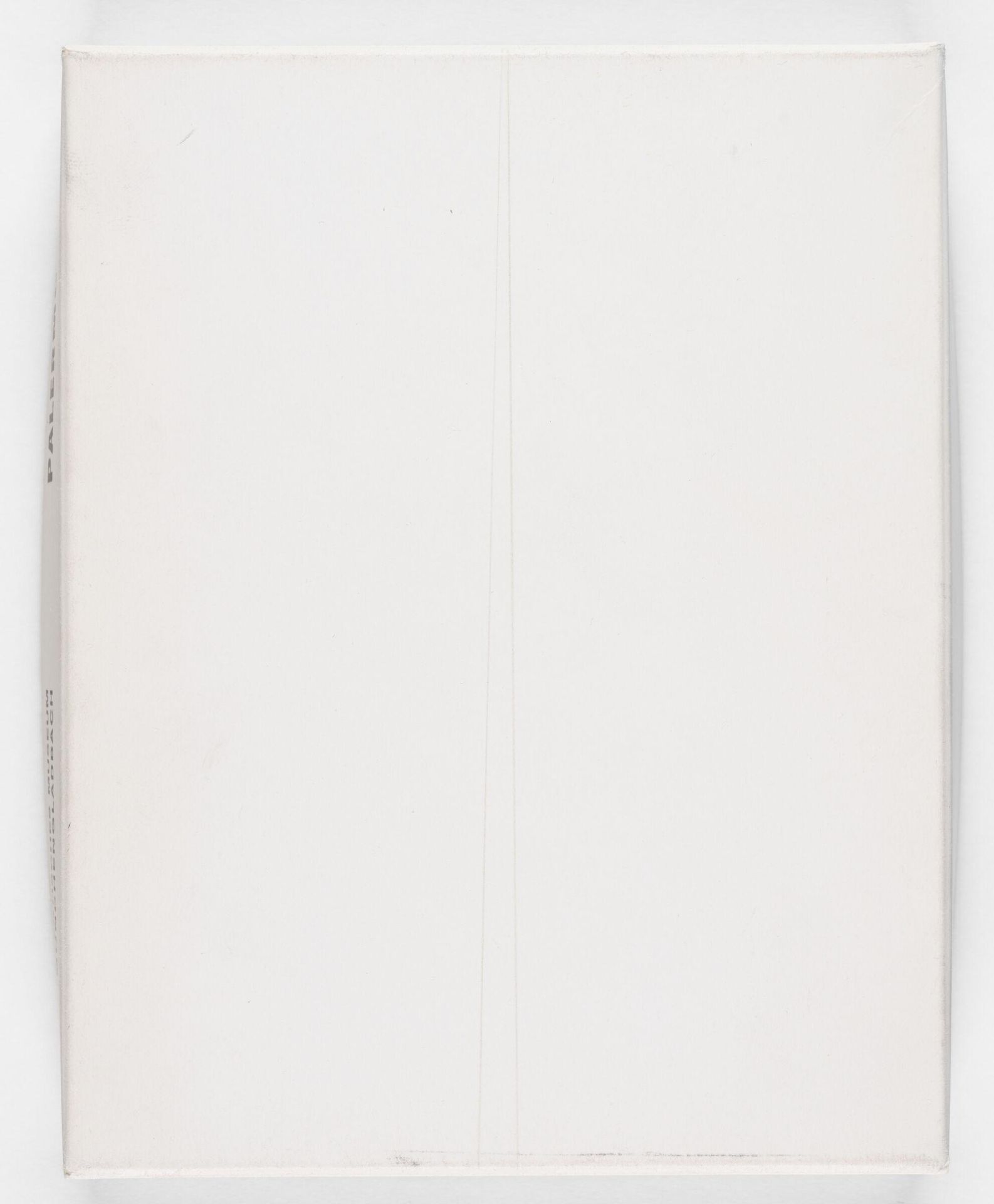 Palermo Objekte. 22 Januar bis 25 Februar 1973. Stadtisches Museum MÃ¶nchengladbach
 by Blinky Palermo