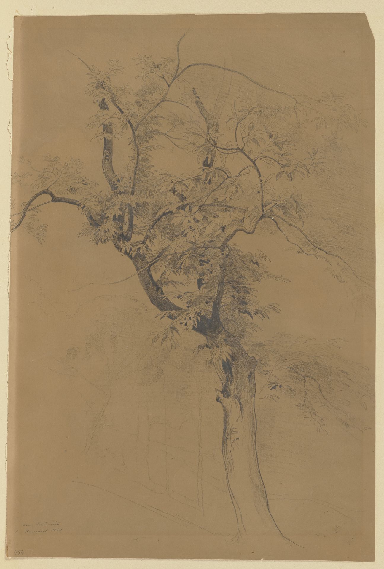 Baum im Taunus by Carl Maria Nicolaus Hummel