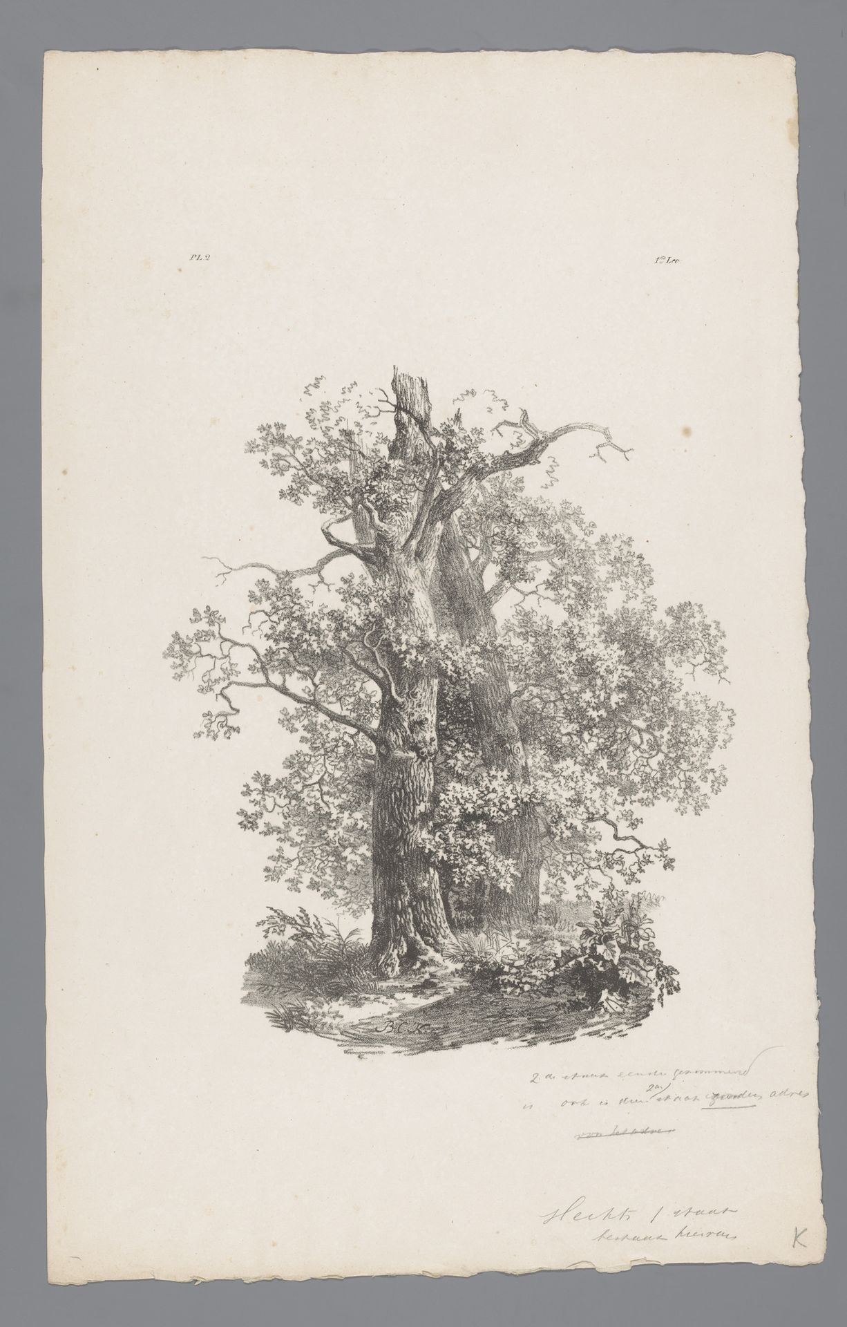 Groep bomen by Barend Cornelis Koekkoek