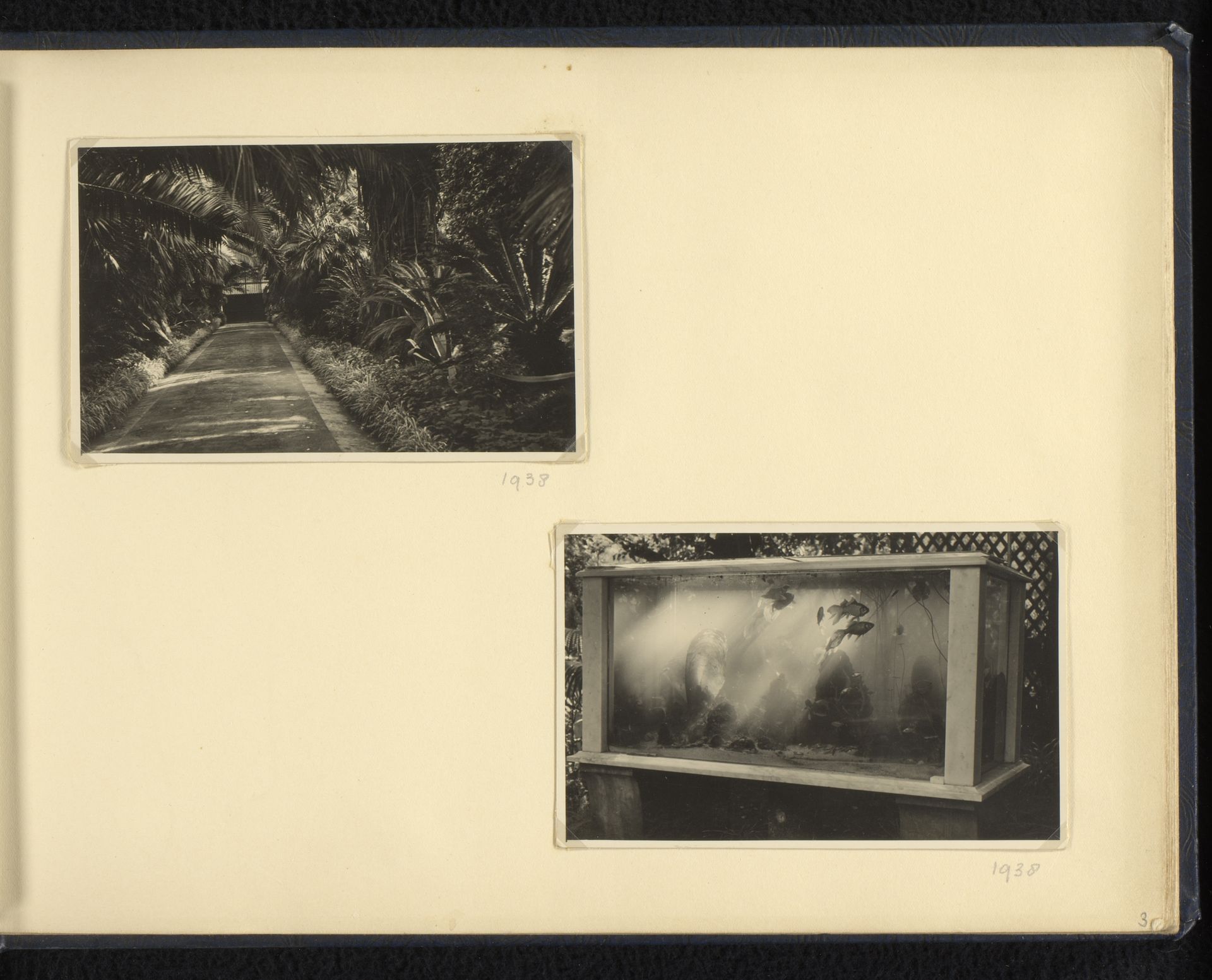 Twee foto's van een toegangspad en aquarium in de tuin van Villa Tritone, Sorrento by Norbert van den (1901-1972) Berg