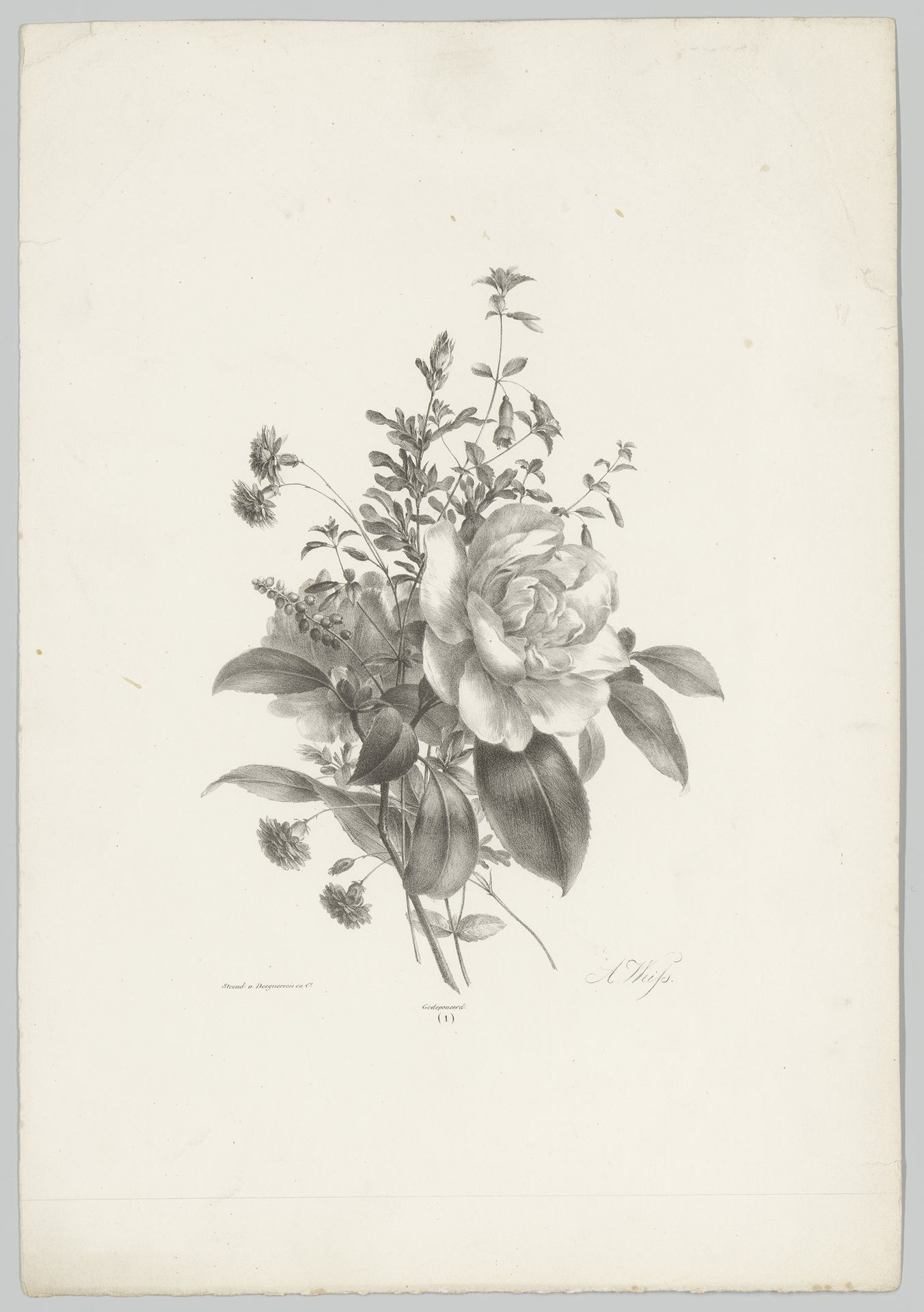 Rozen, anjers en fuchsia by Anton Weiss