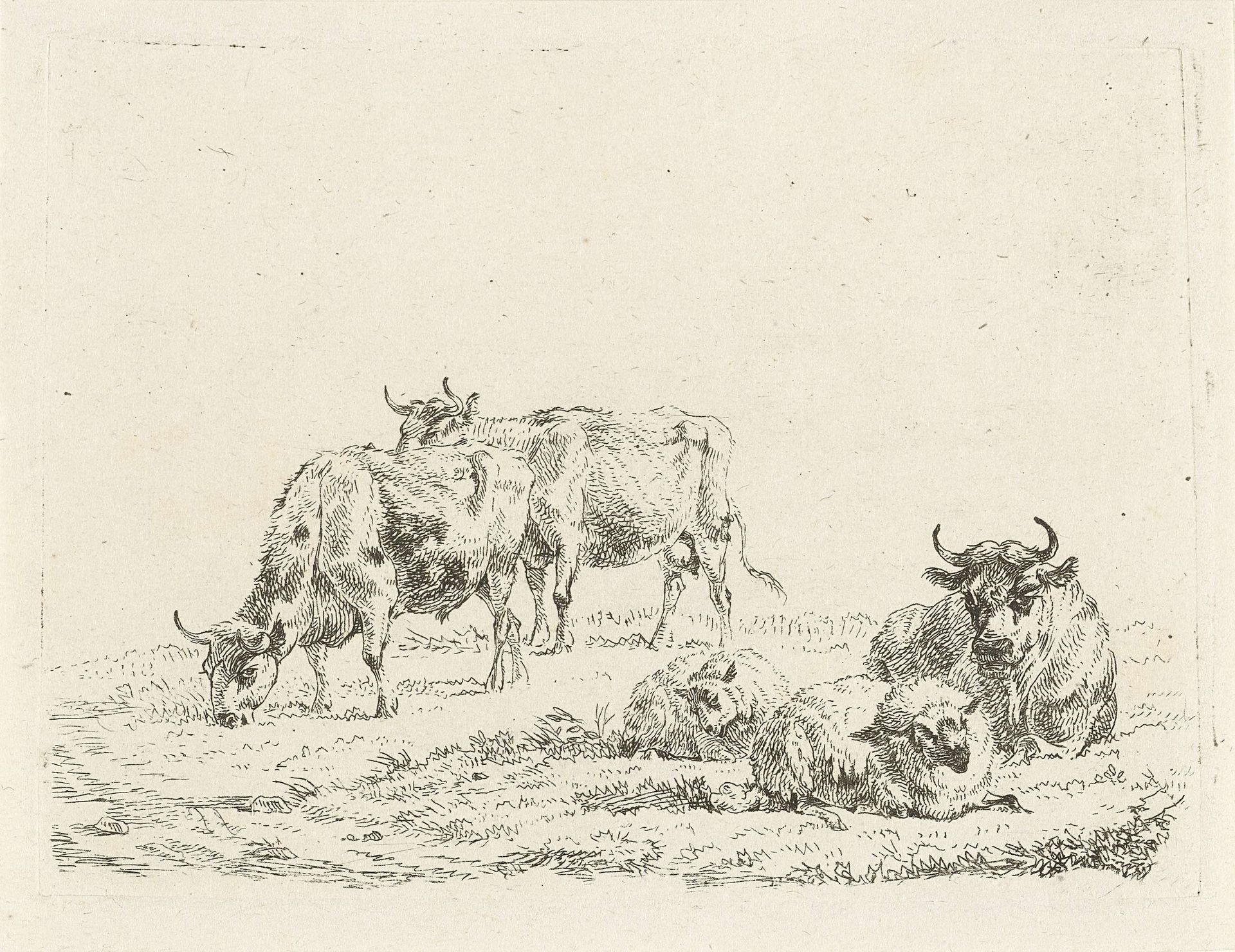 Drie ossen en twee schapen by Frédéric Théodore Faber