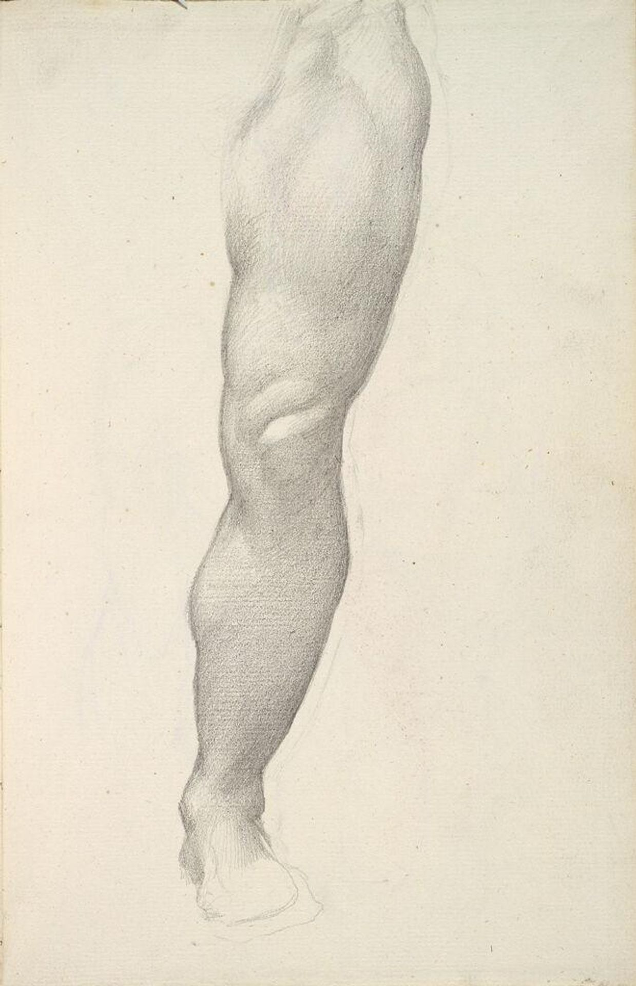 Male Left Leg, for "The Tree of Forgiveness"; verso: Male Head and Torso by Edward Burne-Jones