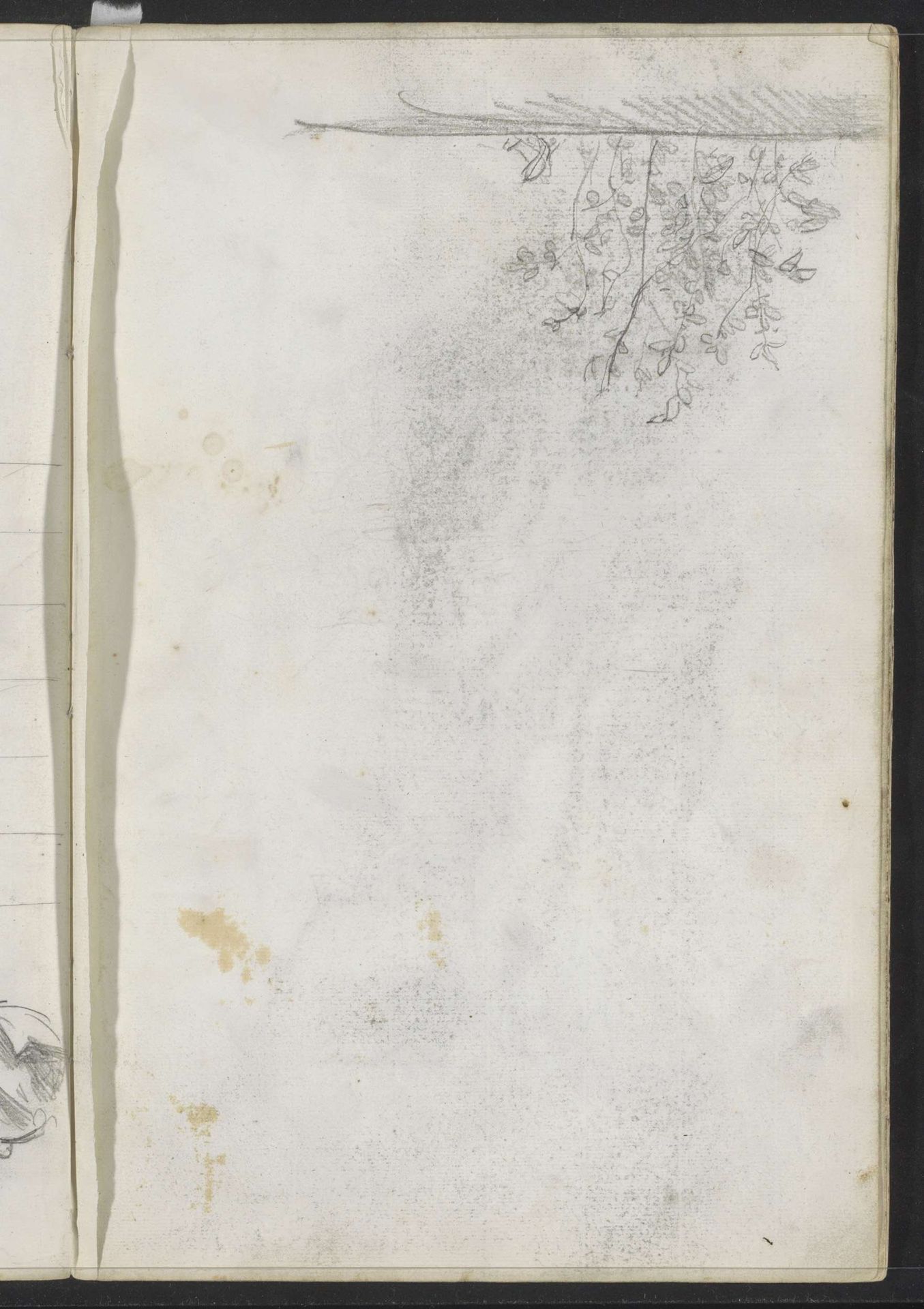 Planten by Jozef Israëls