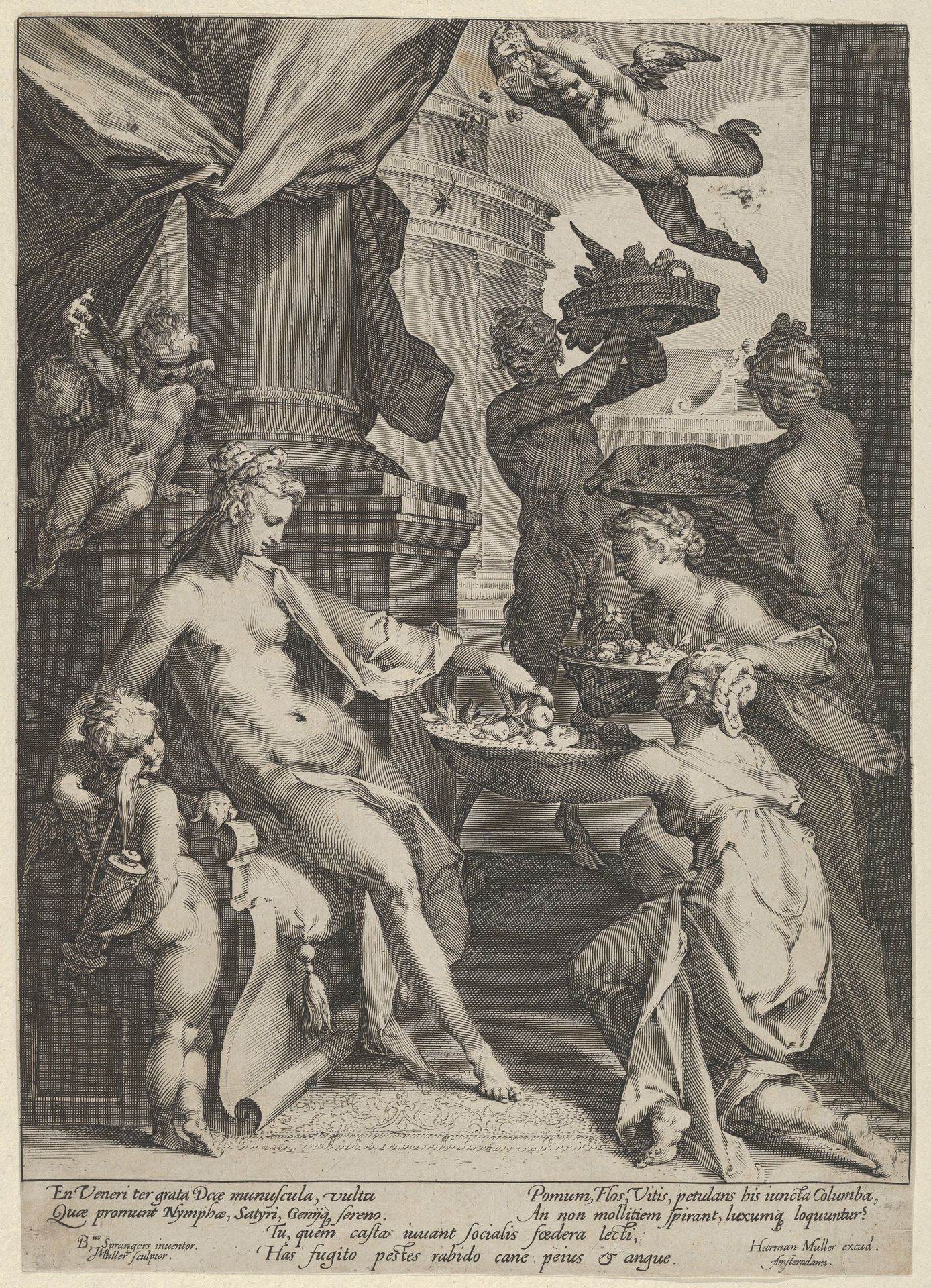 Venus Honored by the Nymphs by Jan Muller