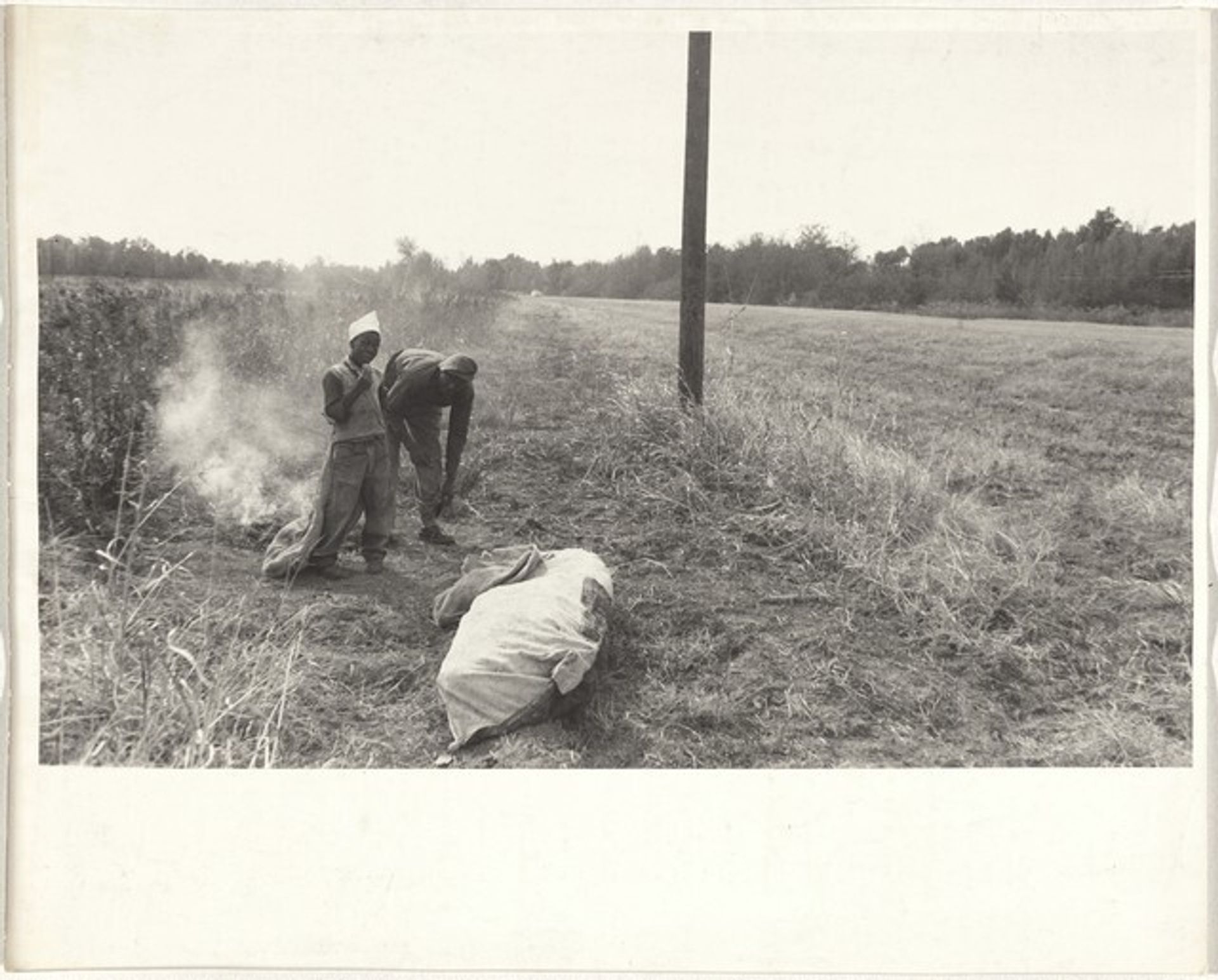 Cotton harvesters--Arkansas by Robert Frank