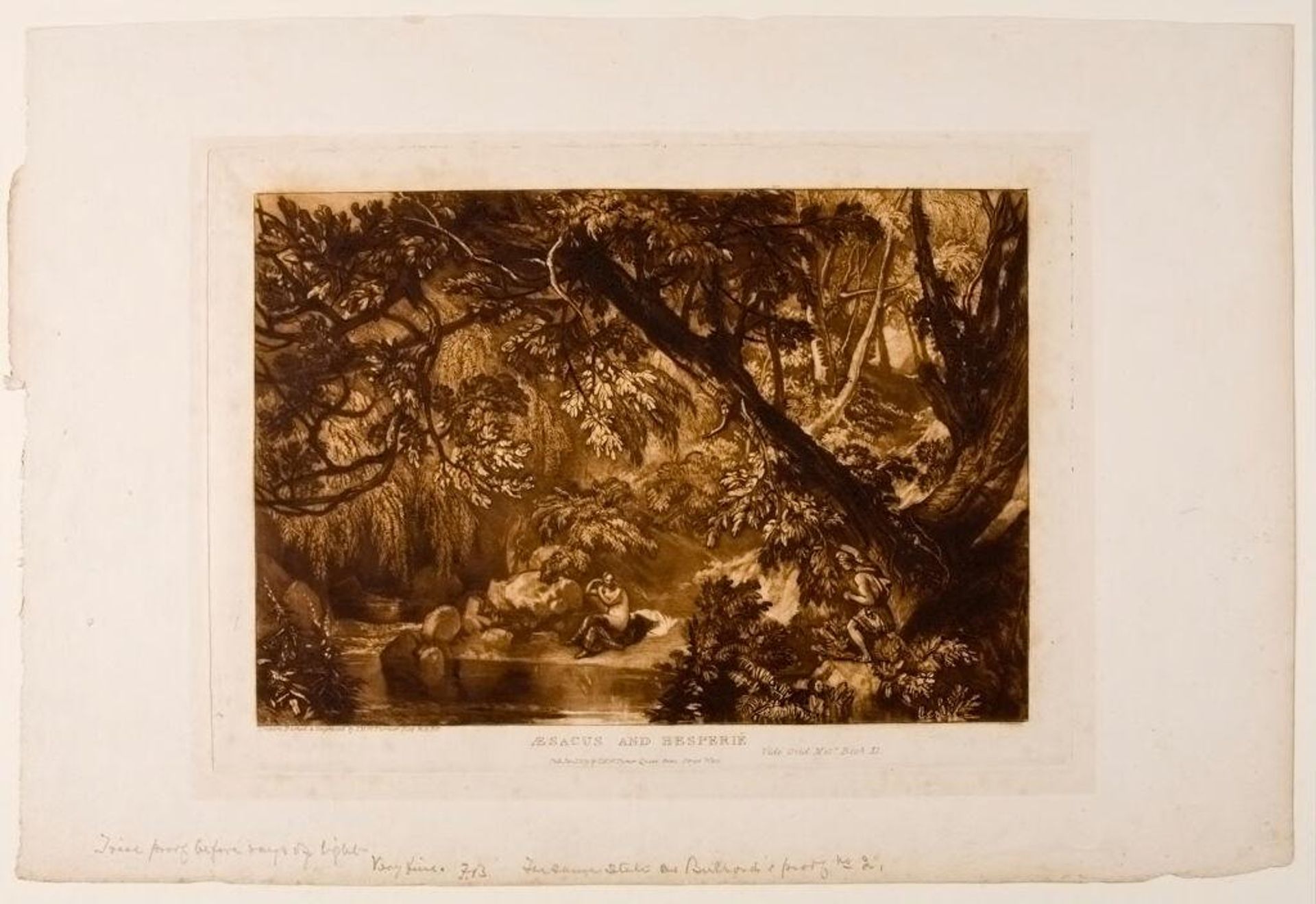 AEsacus and Hesperie by Joseph Mallord William Turner