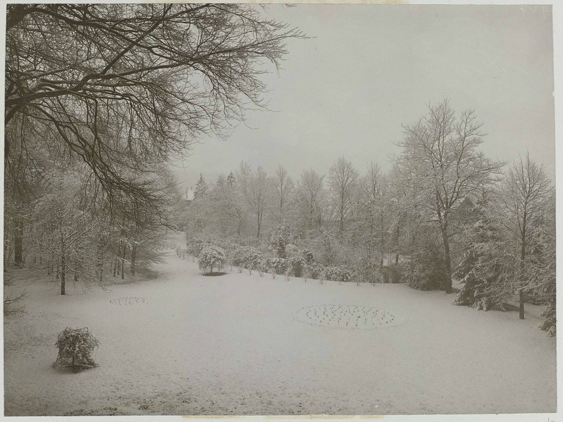 Het park bij landhuis De Wildbaan, Driebergen, in de sneeuw by Henry Pauw van Wieldrecht